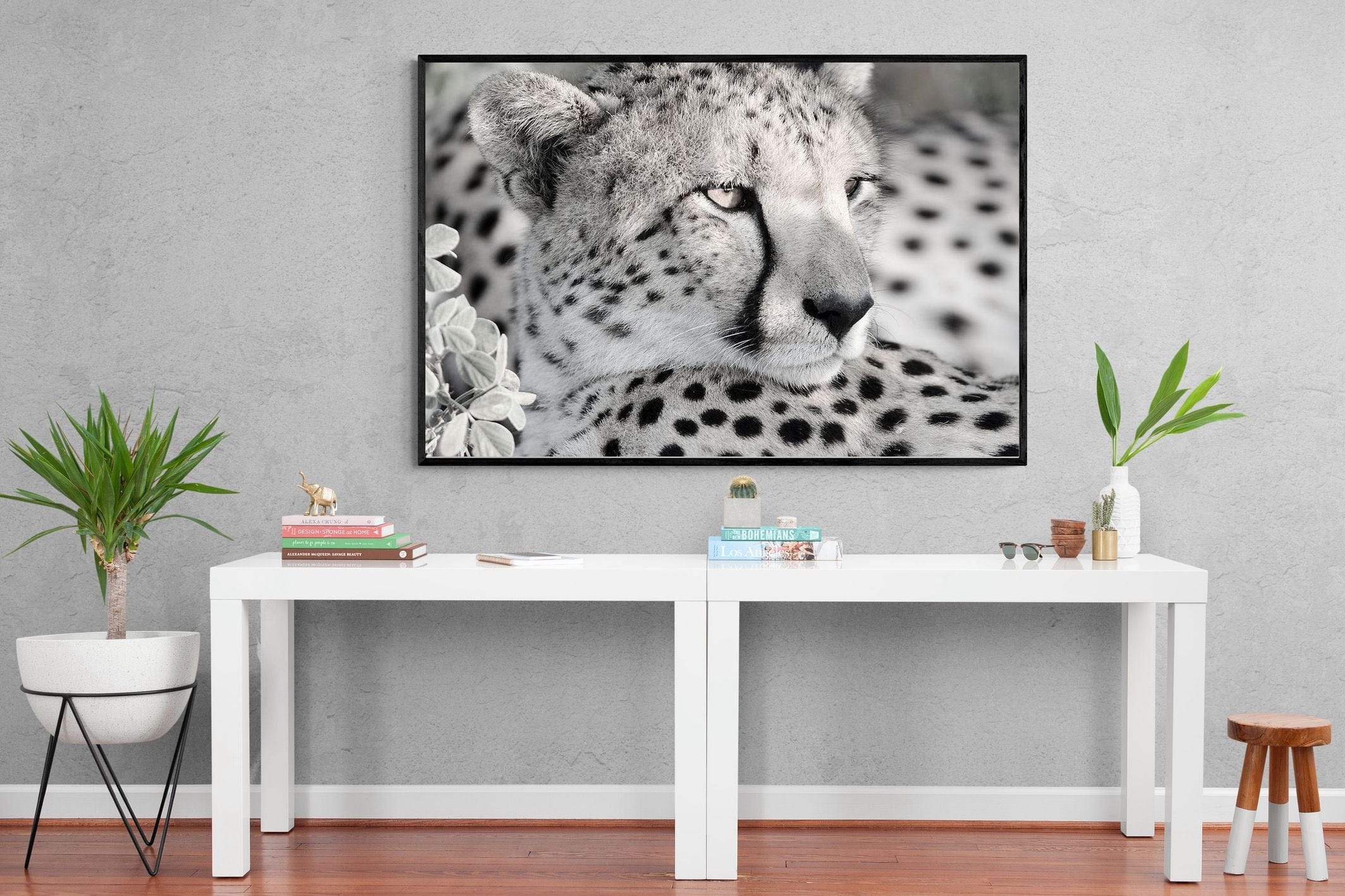 Cheetah Glare-Wall_Art-150 x 100cm-Mounted Canvas-Black-Pixalot