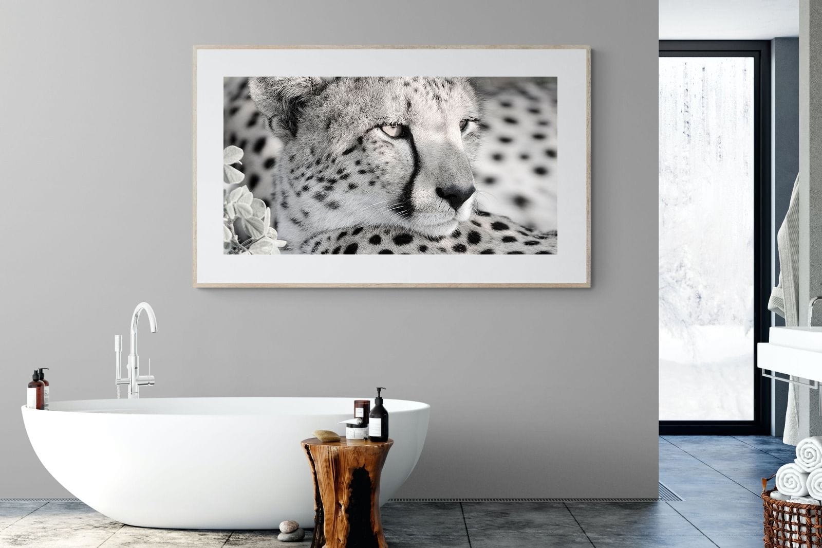 Cheetah Glare-Wall_Art-180 x 110cm-Framed Print-Wood-Pixalot