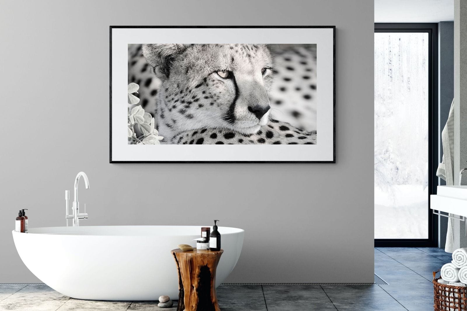 Cheetah Glare-Wall_Art-180 x 110cm-Framed Print-Black-Pixalot