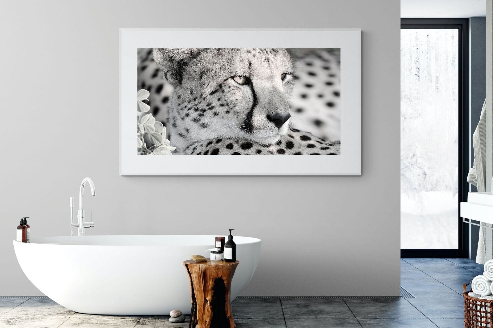 Cheetah Glare-Wall_Art-180 x 110cm-Framed Print-White-Pixalot