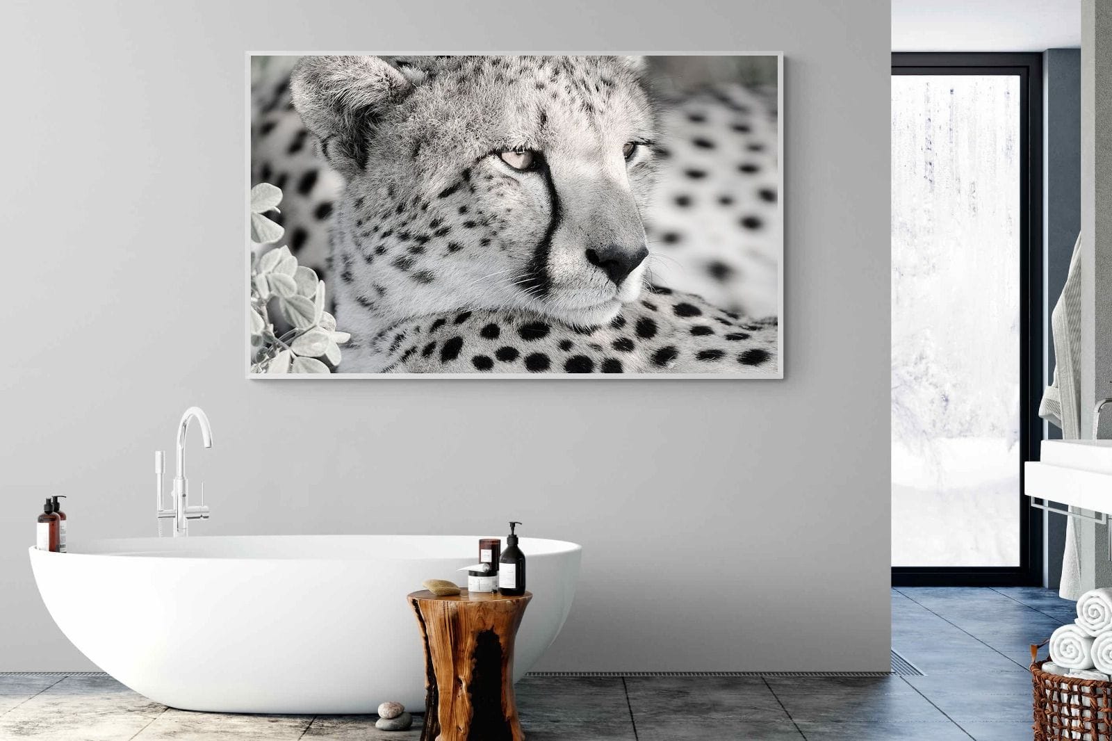 Cheetah Glare-Wall_Art-180 x 110cm-Mounted Canvas-White-Pixalot