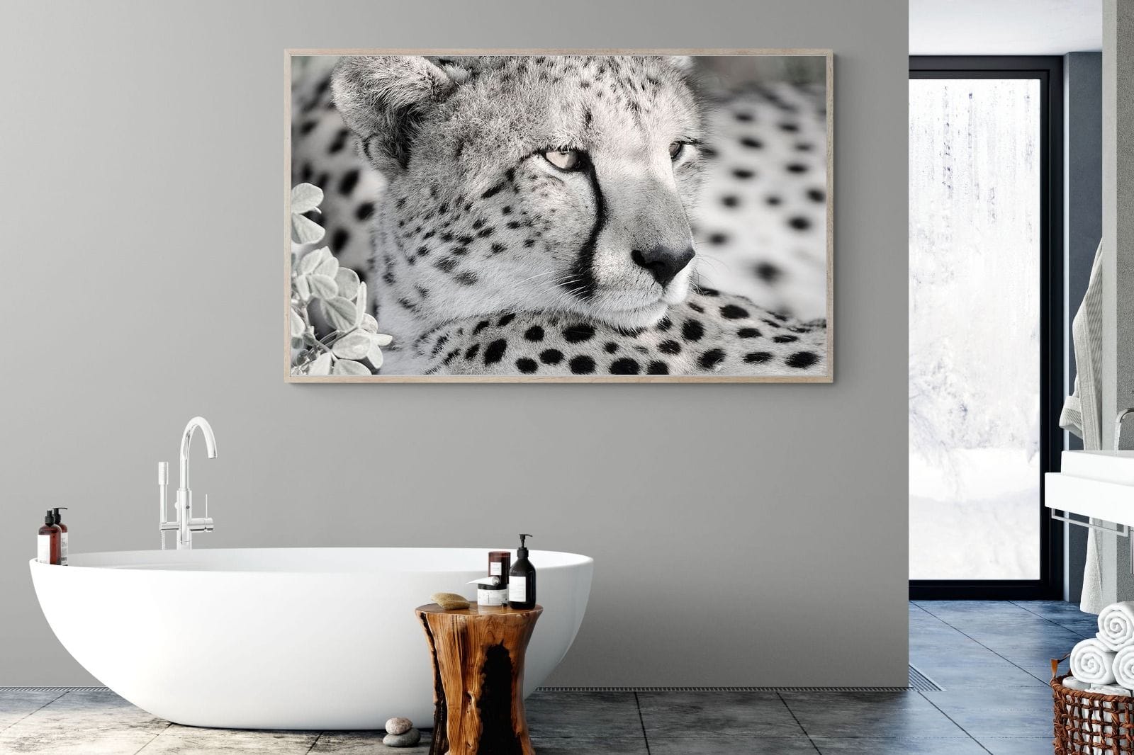 Cheetah Glare-Wall_Art-180 x 110cm-Mounted Canvas-Wood-Pixalot