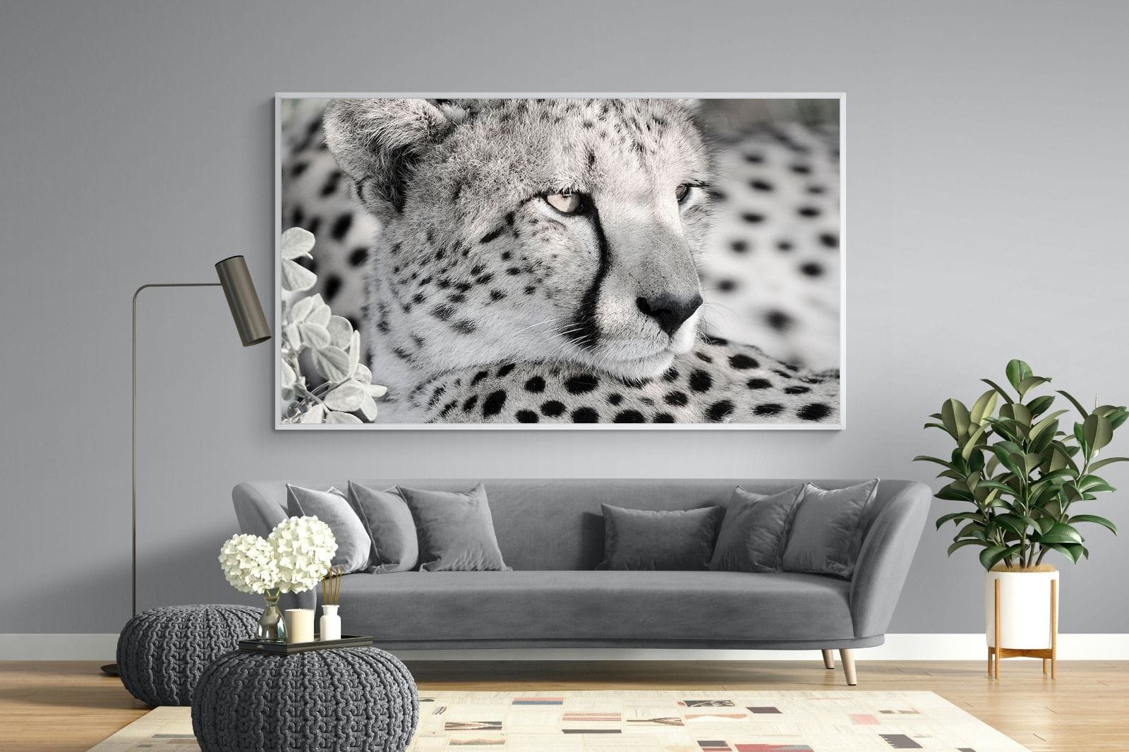Cheetah Glare-Wall_Art-220 x 130cm-Mounted Canvas-White-Pixalot