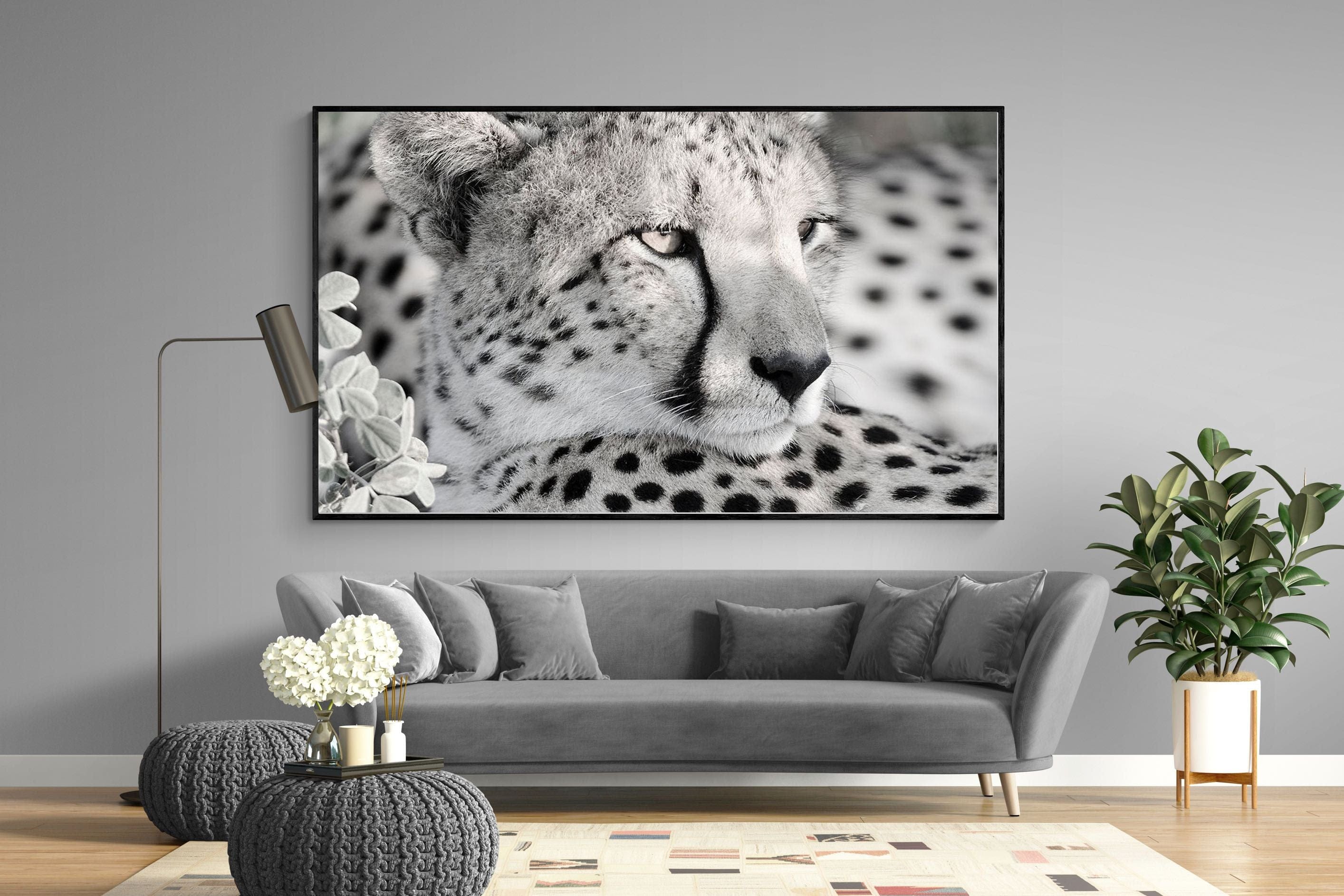Cheetah Glare-Wall_Art-220 x 130cm-Mounted Canvas-Black-Pixalot