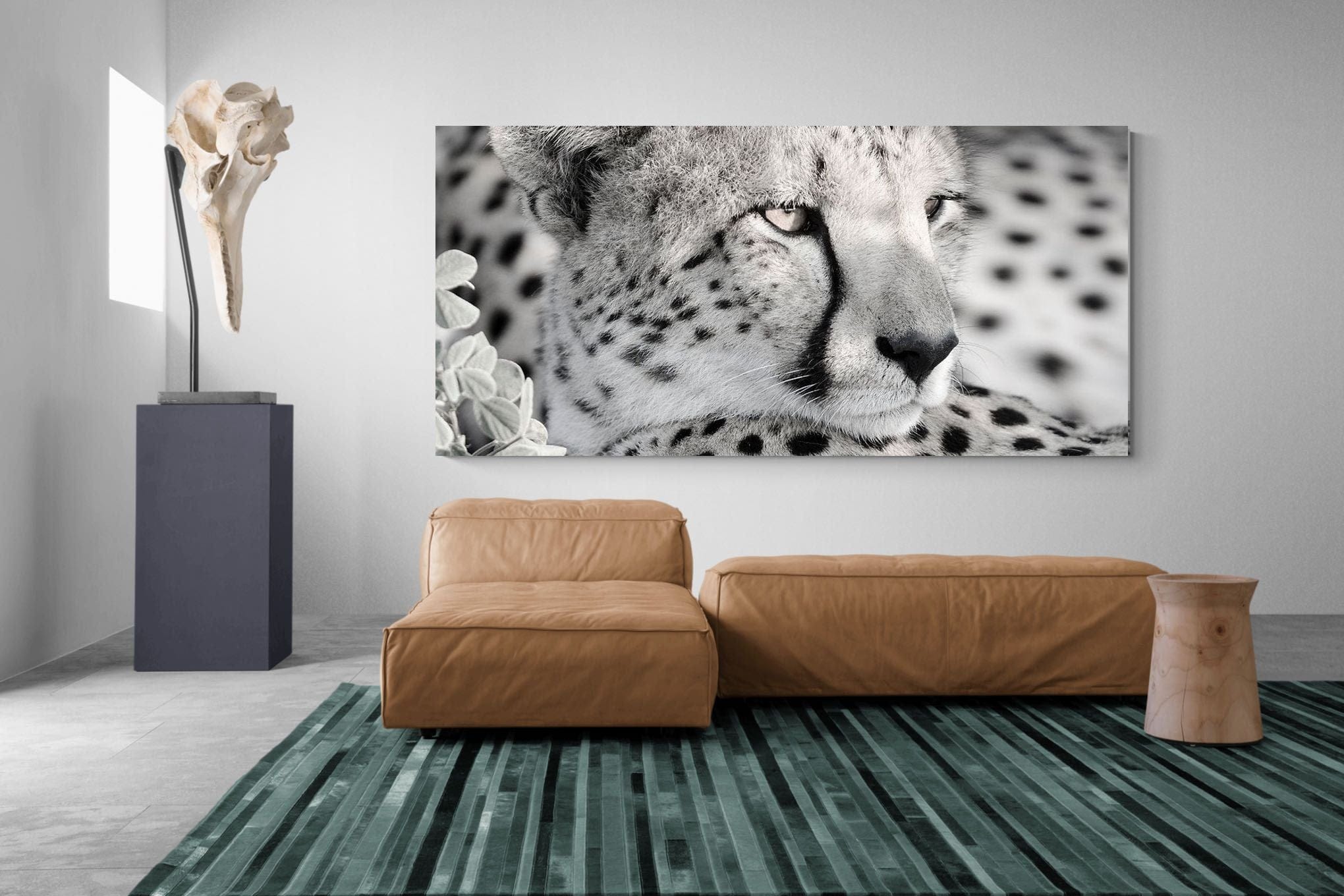 Cheetah Glare-Wall_Art-275 x 130cm-Mounted Canvas-No Frame-Pixalot