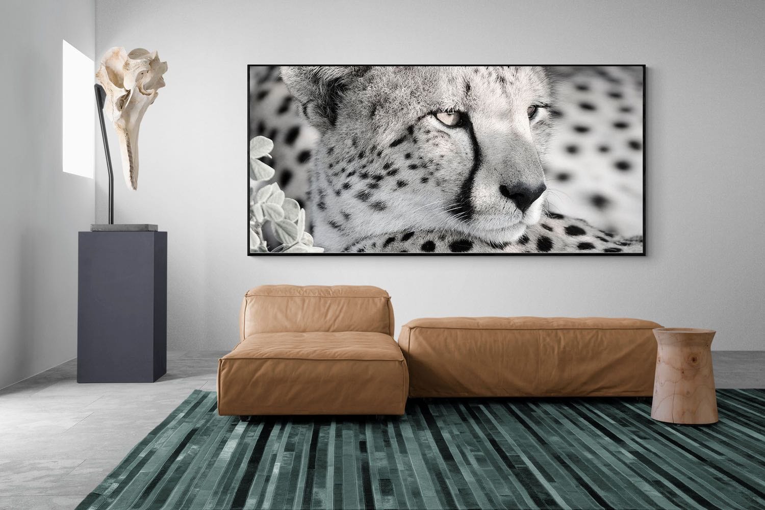 Cheetah Glare-Wall_Art-275 x 130cm-Mounted Canvas-Black-Pixalot