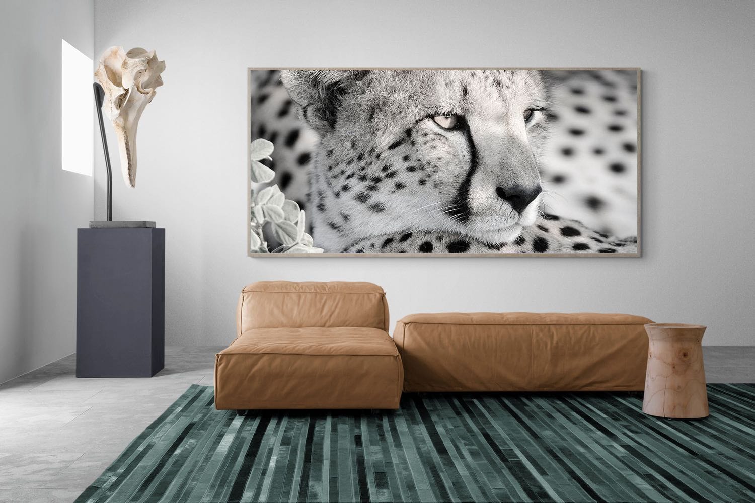 Cheetah Glare-Wall_Art-275 x 130cm-Mounted Canvas-Wood-Pixalot