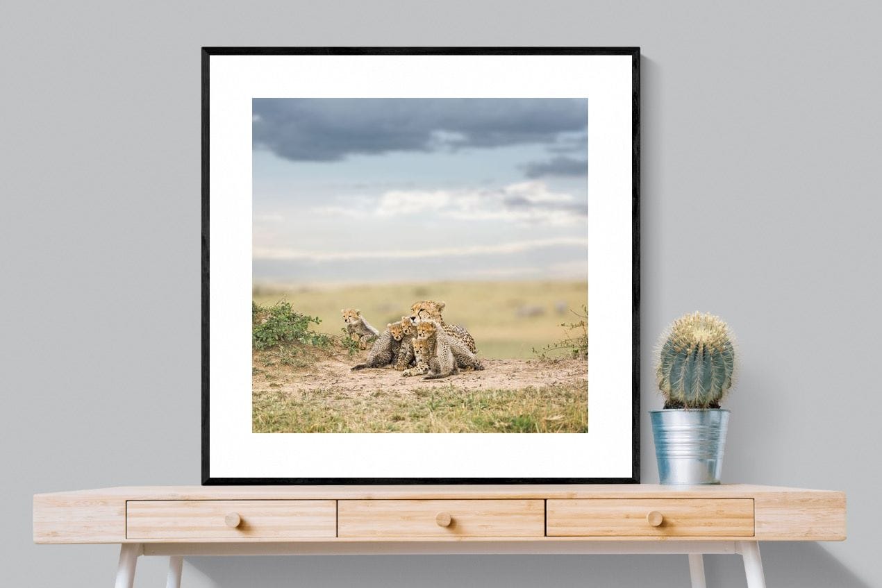 Cheetah Parenting-Wall_Art-100 x 100cm-Framed Print-Black-Pixalot