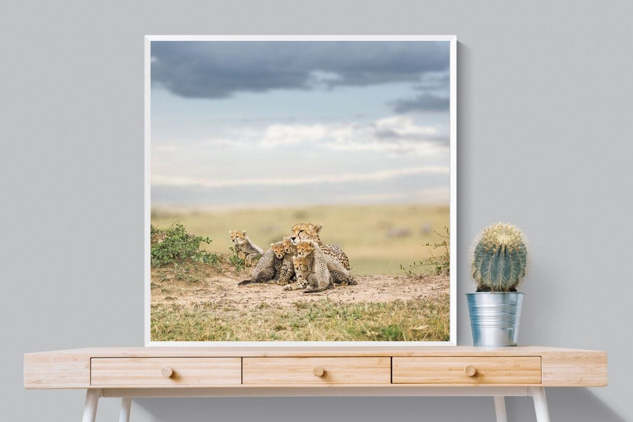 Cheetah Parenting-Wall_Art-100 x 100cm-Mounted Canvas-White-Pixalot