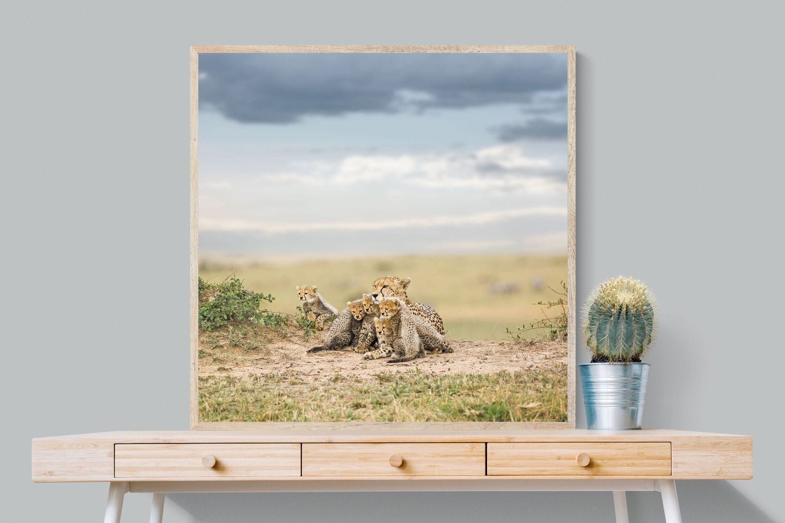 Cheetah Parenting-Wall_Art-100 x 100cm-Mounted Canvas-Wood-Pixalot