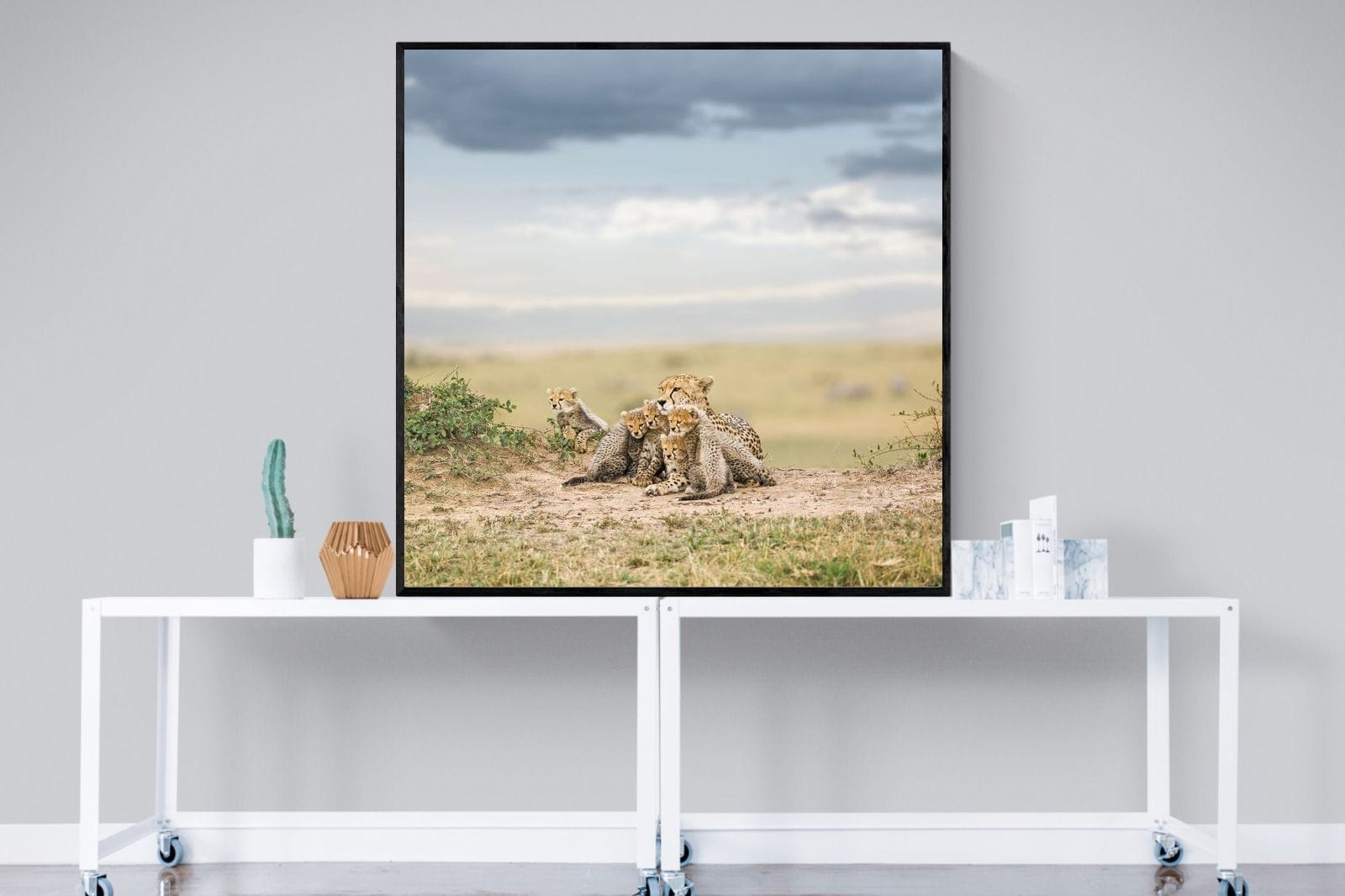 Cheetah Parenting-Wall_Art-120 x 120cm-Mounted Canvas-Black-Pixalot