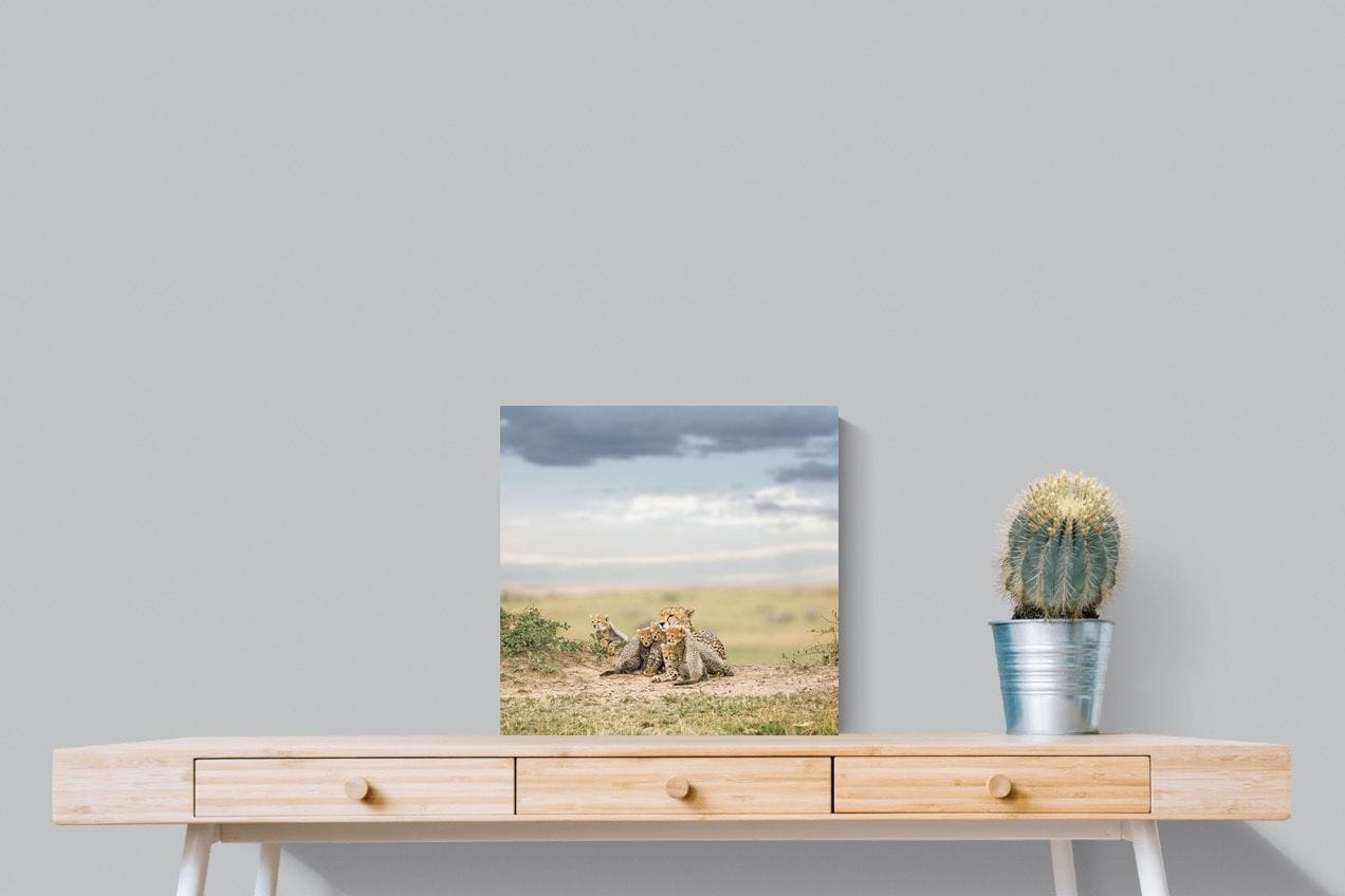 Cheetah Parenting-Wall_Art-50 x 50cm-Mounted Canvas-No Frame-Pixalot