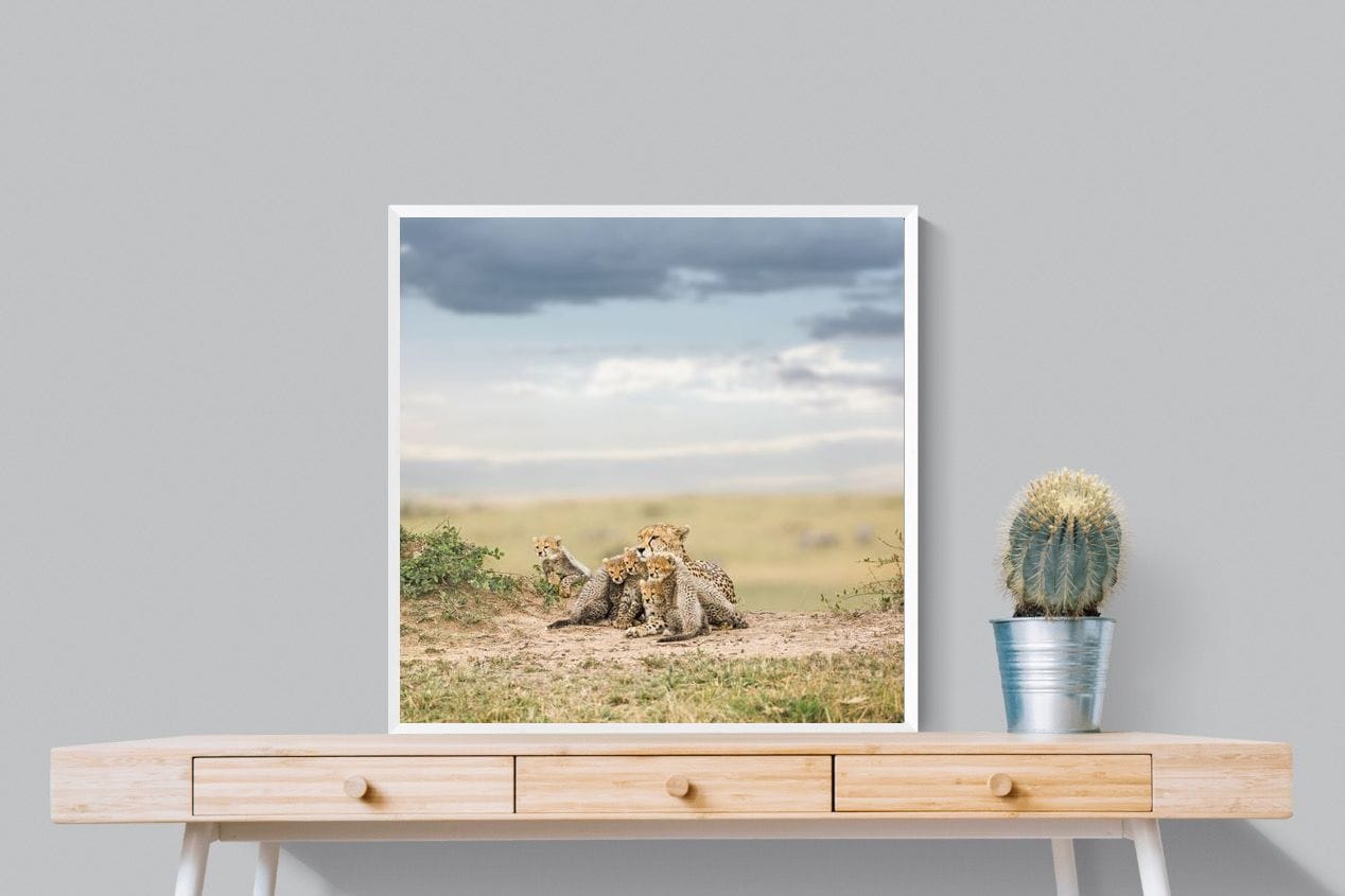 Cheetah Parenting-Wall_Art-80 x 80cm-Mounted Canvas-White-Pixalot
