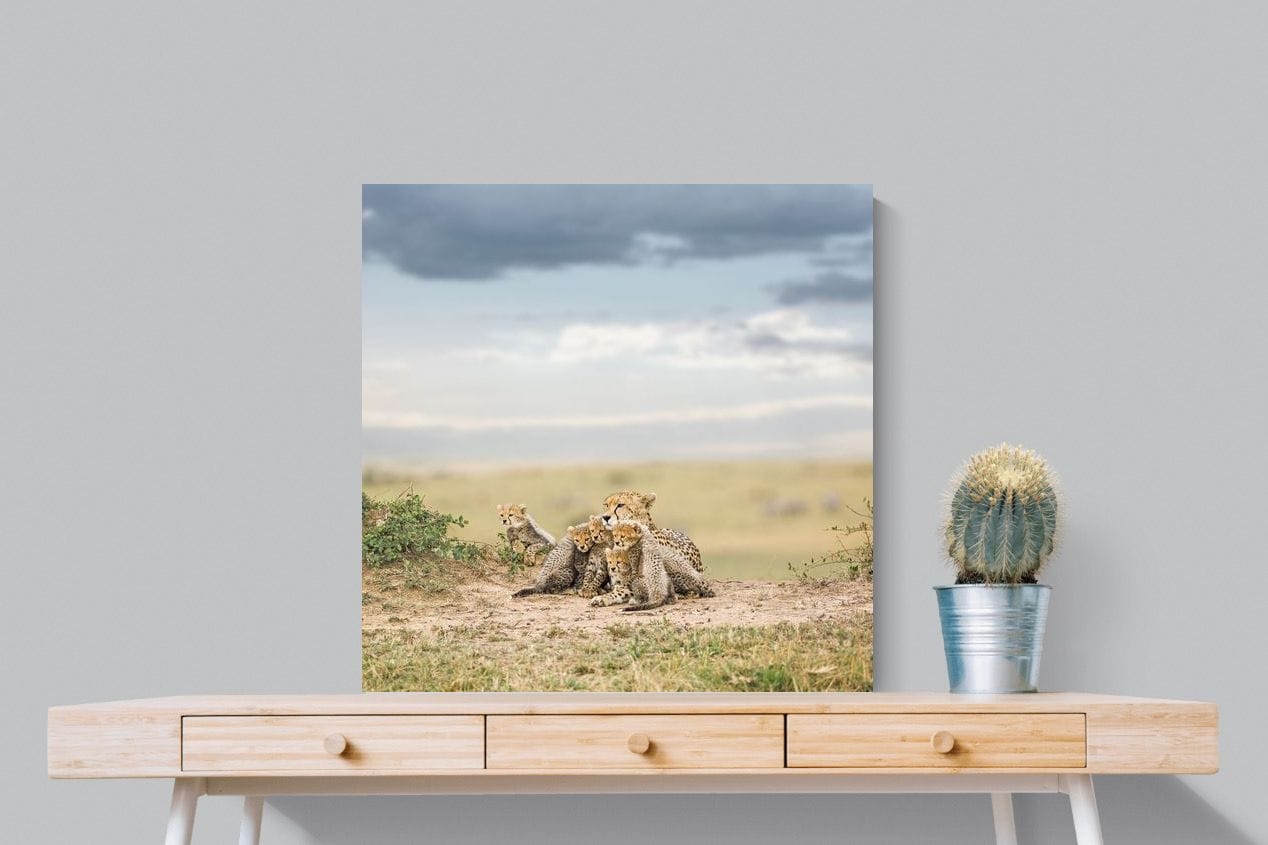 Cheetah Parenting-Wall_Art-80 x 80cm-Mounted Canvas-No Frame-Pixalot