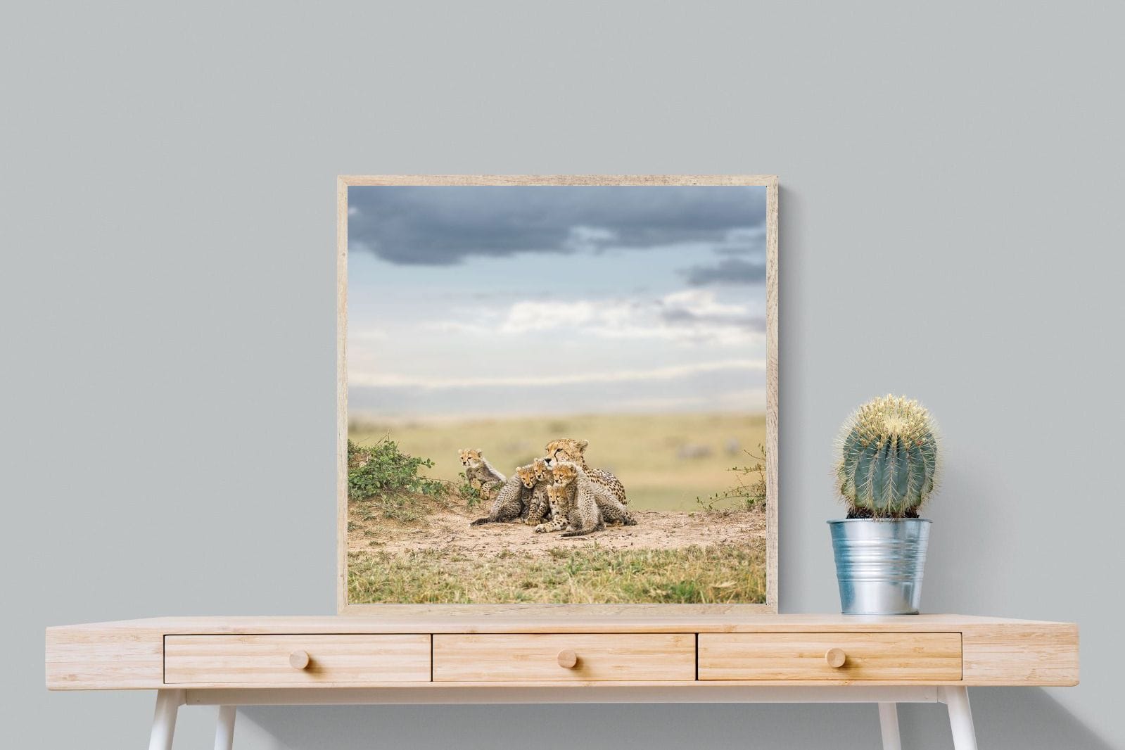 Cheetah Parenting-Wall_Art-80 x 80cm-Mounted Canvas-Wood-Pixalot