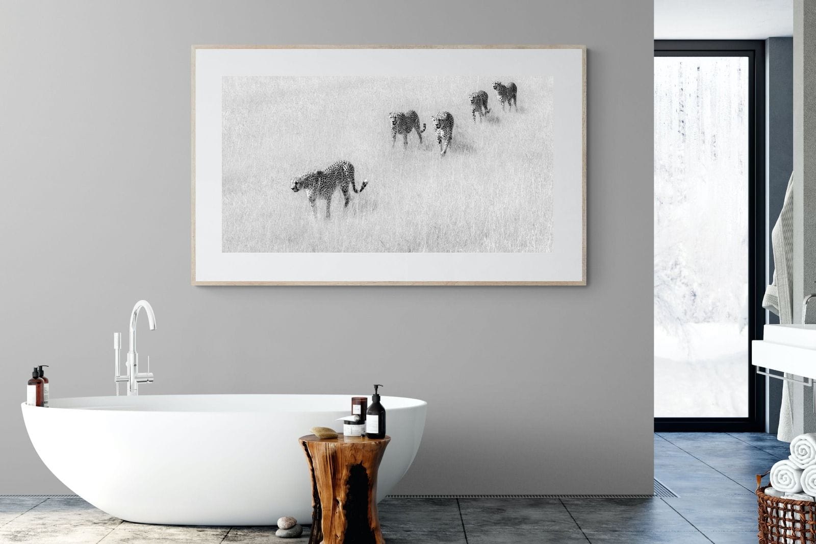 Cheetah Pride-Wall_Art-180 x 110cm-Framed Print-Wood-Pixalot