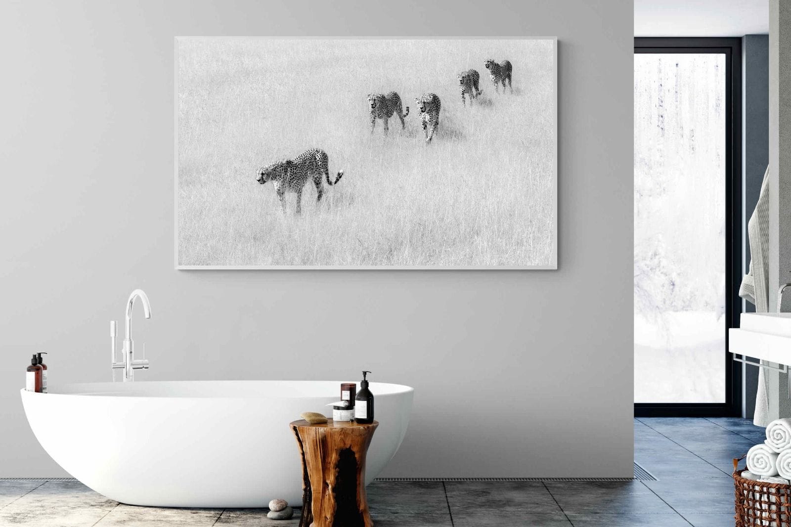 Cheetah Pride-Wall_Art-180 x 110cm-Mounted Canvas-White-Pixalot