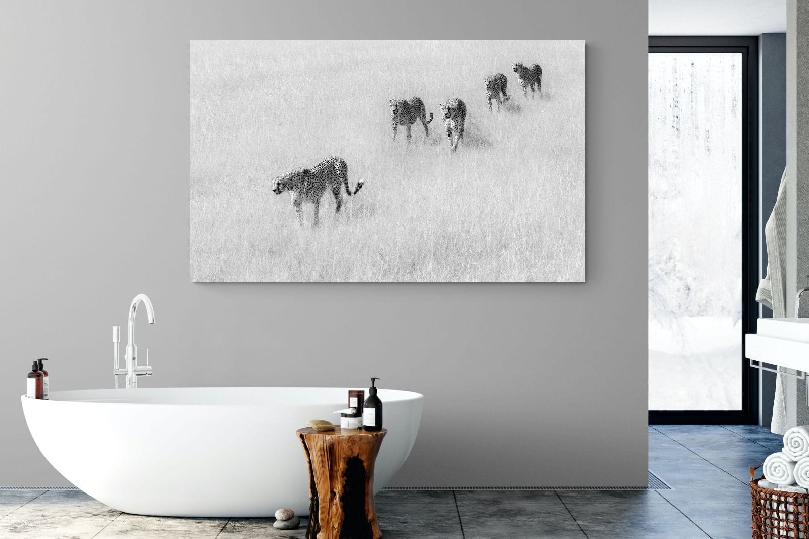 Cheetah Pride-Wall_Art-180 x 110cm-Mounted Canvas-No Frame-Pixalot