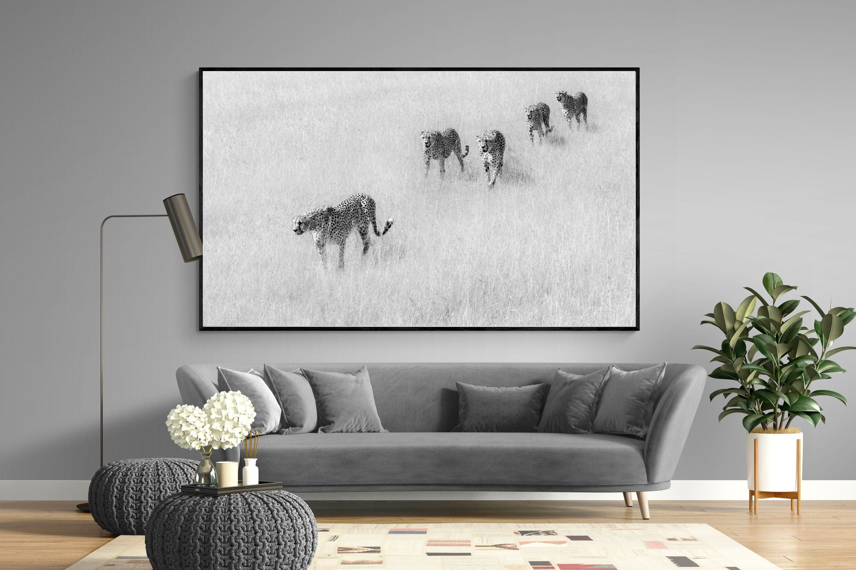Cheetah Pride-Wall_Art-220 x 130cm-Mounted Canvas-Black-Pixalot
