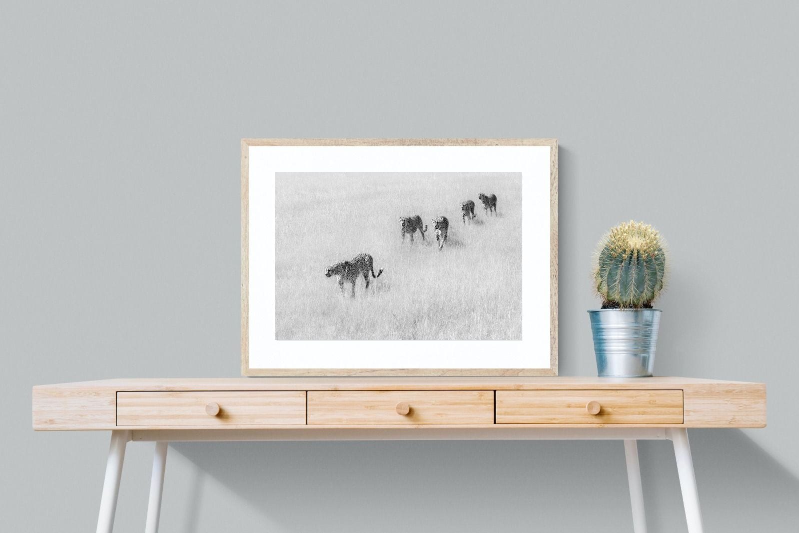 Cheetah Pride-Wall_Art-80 x 60cm-Framed Print-Wood-Pixalot