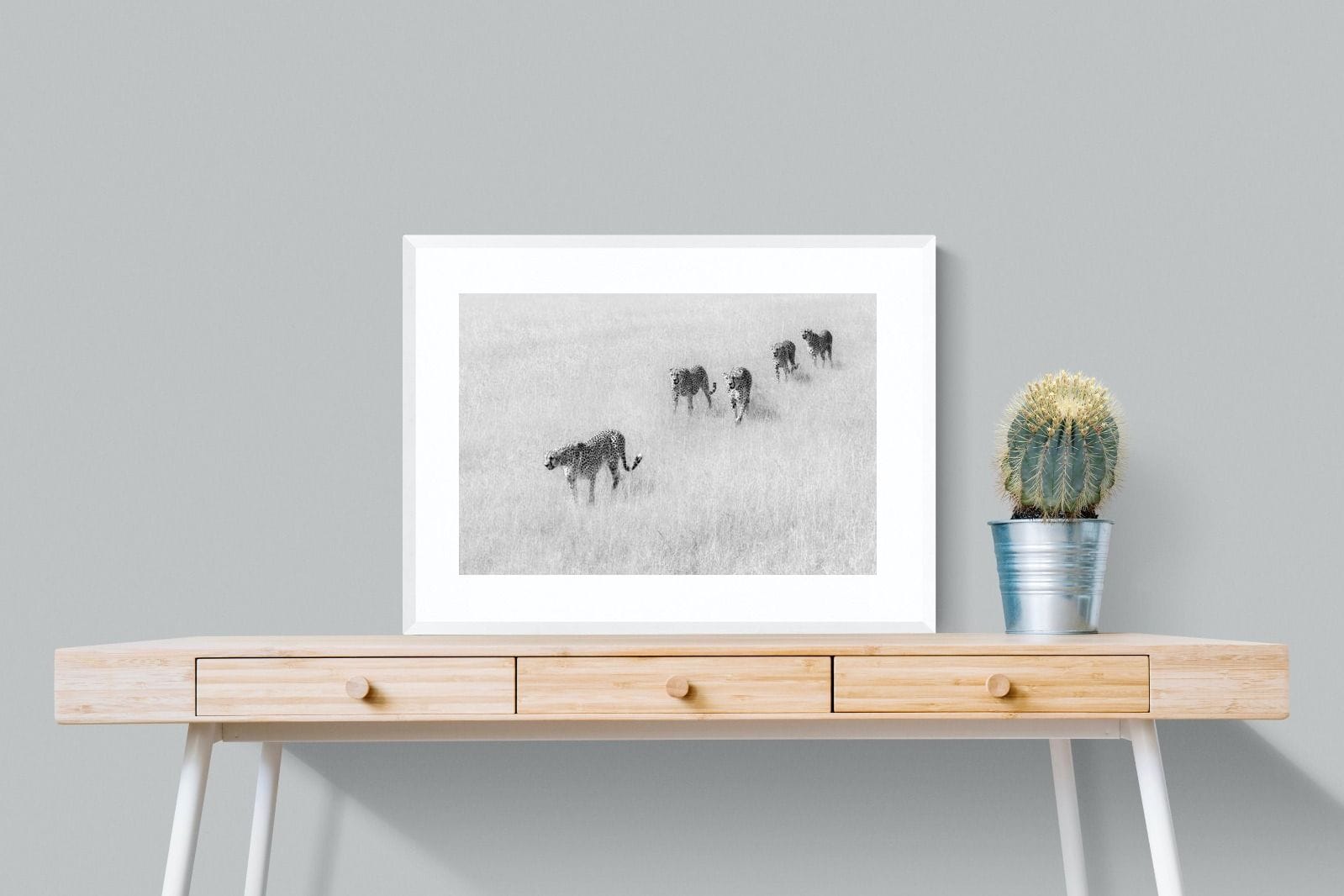 Cheetah Pride-Wall_Art-80 x 60cm-Framed Print-White-Pixalot