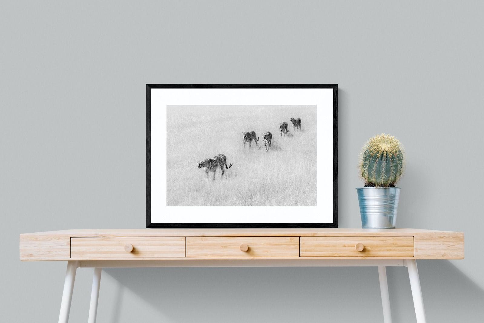 Cheetah Pride-Wall_Art-80 x 60cm-Framed Print-Black-Pixalot