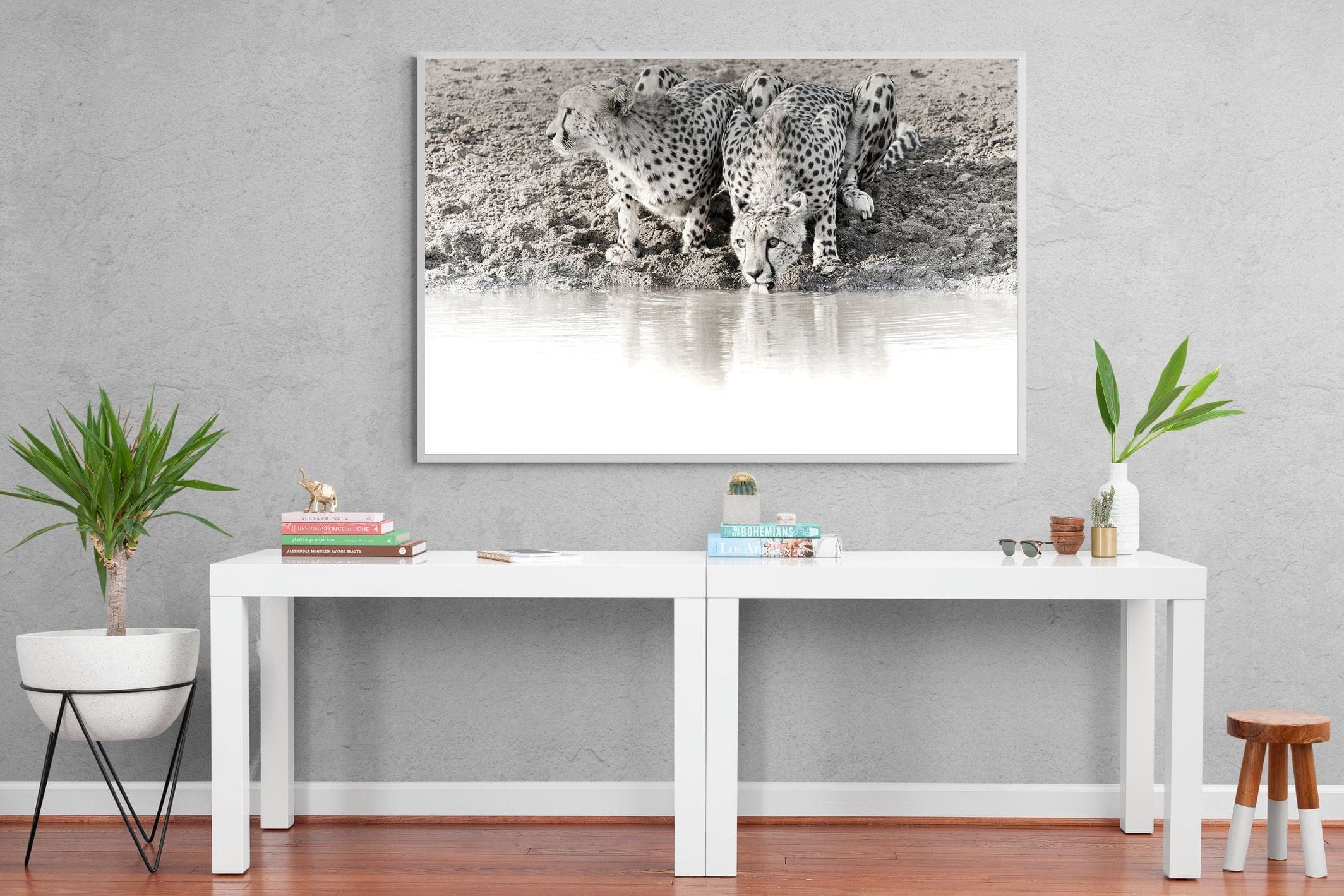 Cheetah Sisters-Wall_Art-150 x 100cm-Mounted Canvas-White-Pixalot