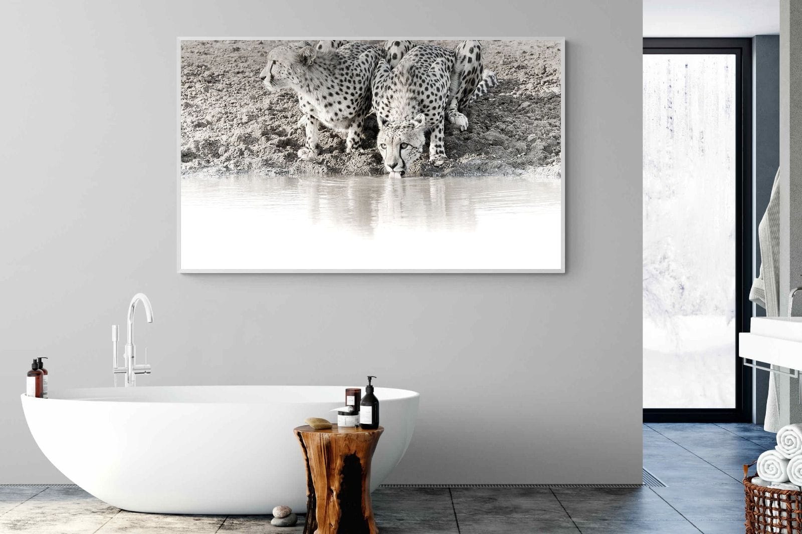 Cheetah Sisters-Wall_Art-180 x 110cm-Mounted Canvas-White-Pixalot