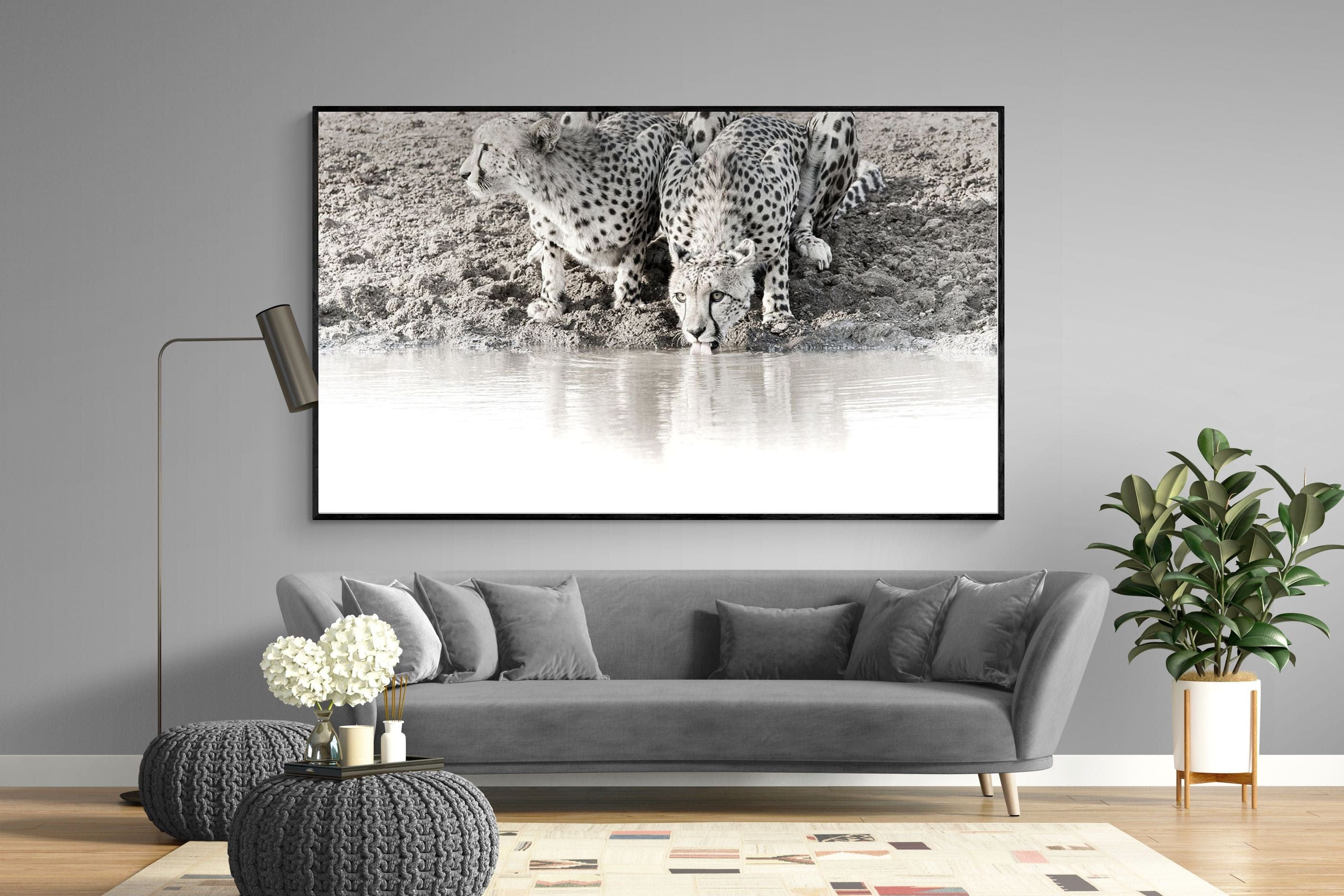 Cheetah Sisters-Wall_Art-220 x 130cm-Mounted Canvas-Black-Pixalot
