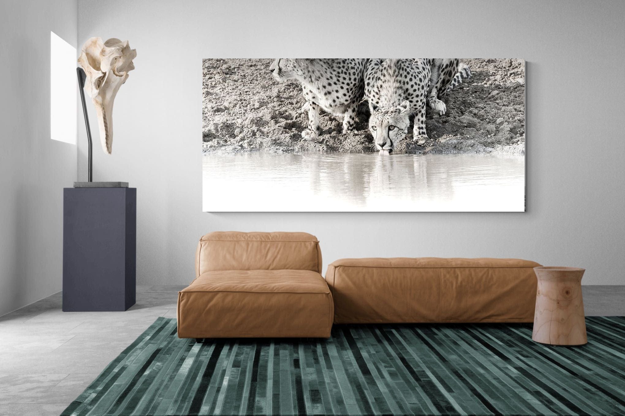 Cheetah Sisters-Wall_Art-275 x 130cm-Mounted Canvas-No Frame-Pixalot