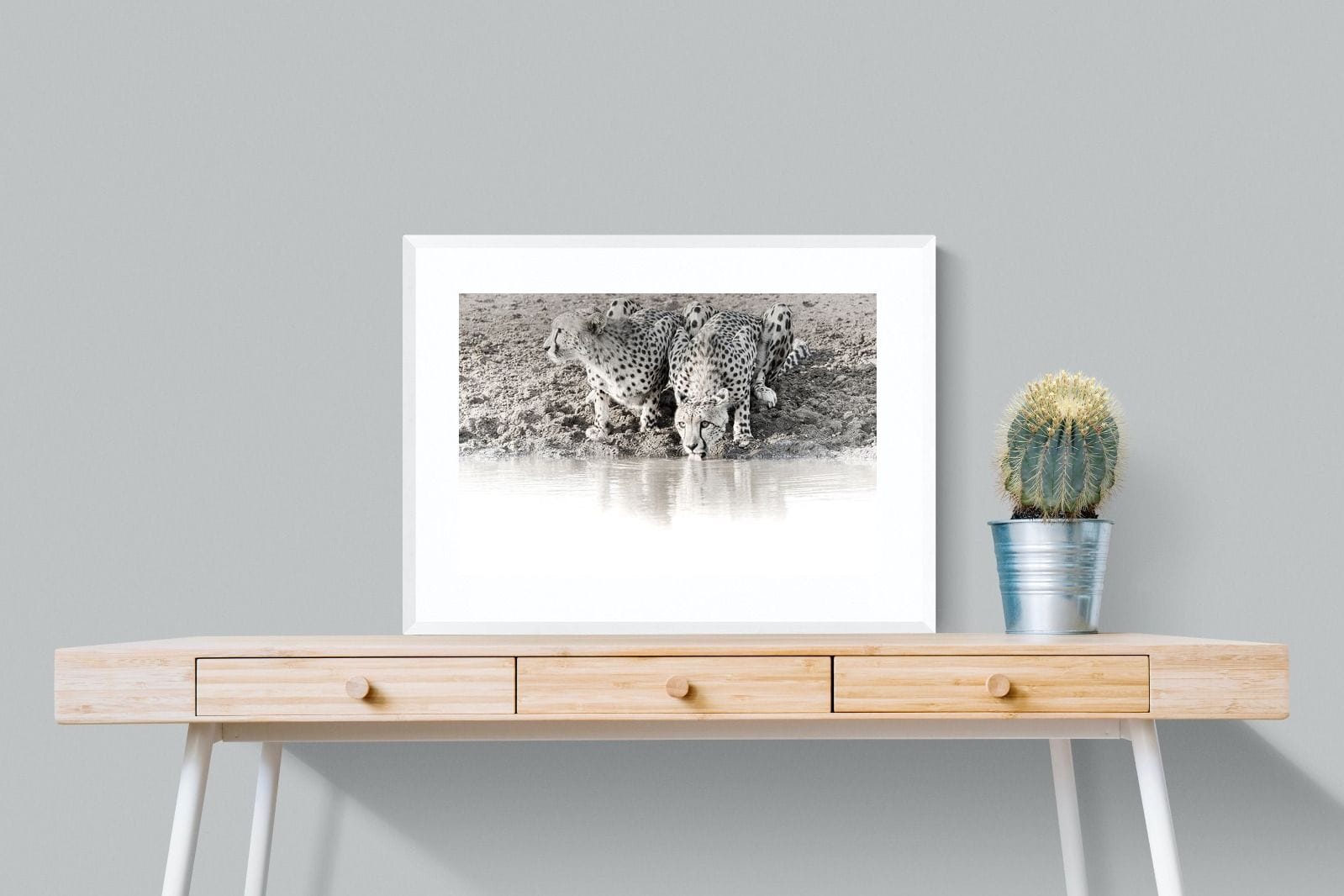 Cheetah Sisters-Wall_Art-80 x 60cm-Framed Print-White-Pixalot