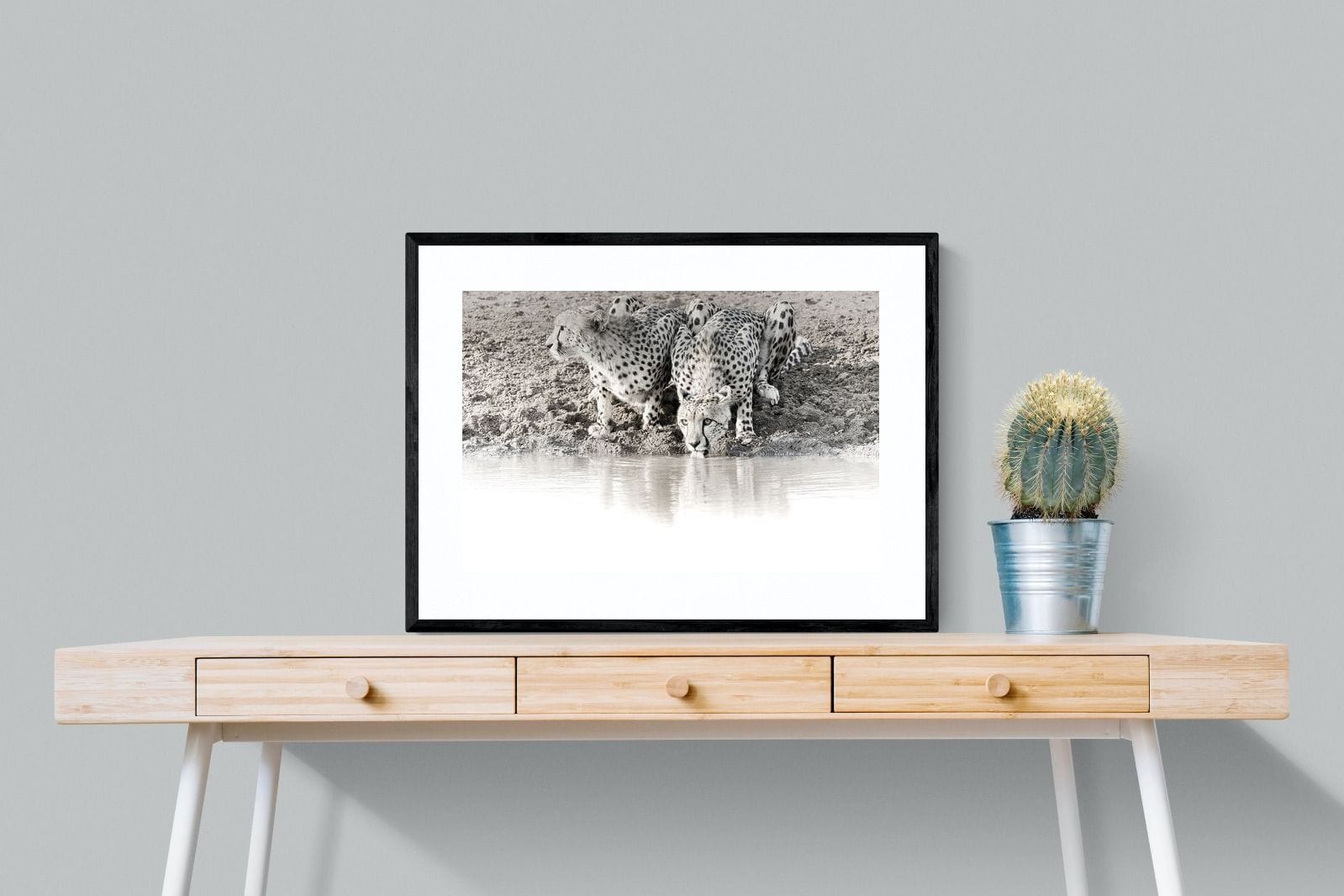 Cheetah Sisters-Wall_Art-80 x 60cm-Framed Print-Black-Pixalot