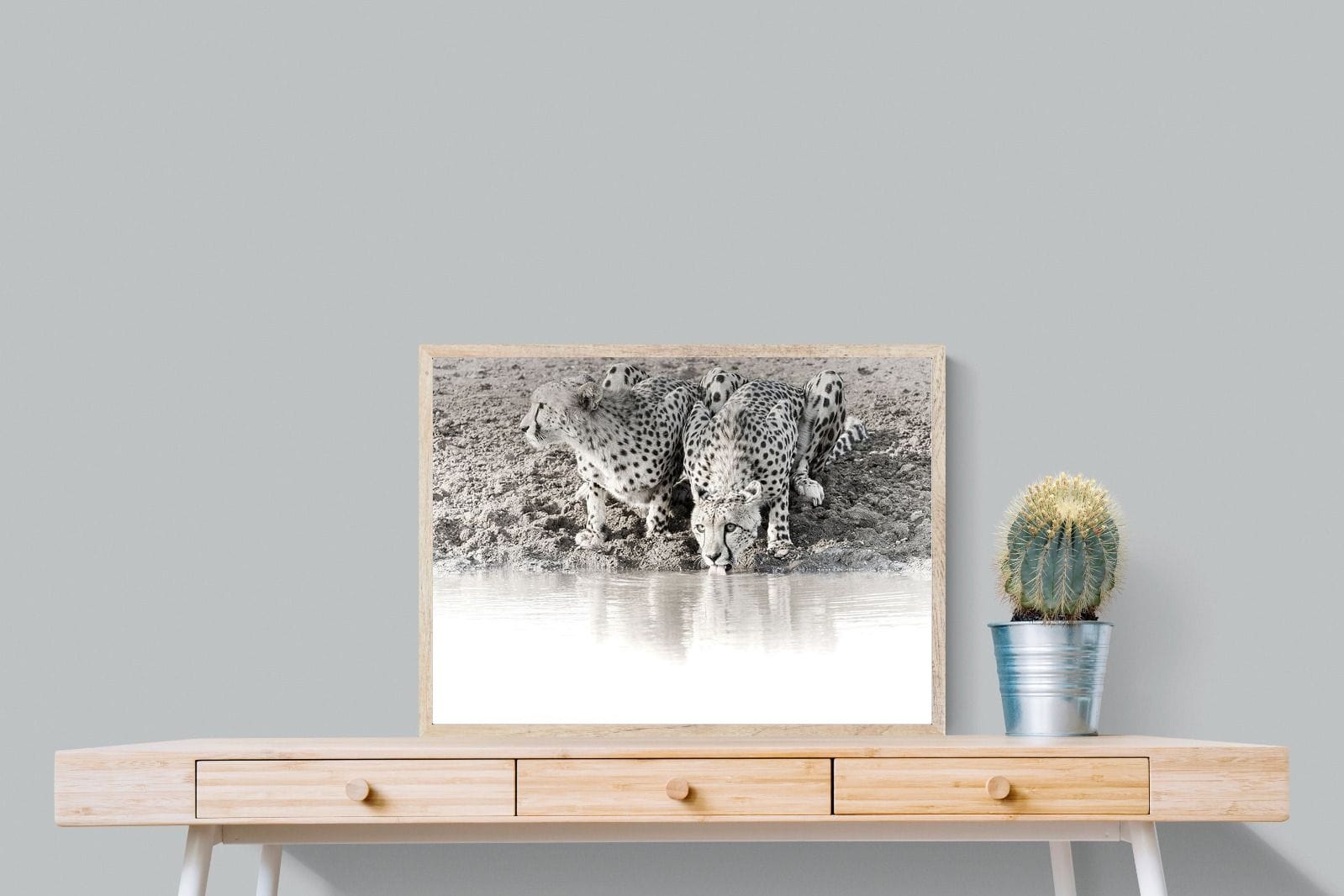 Cheetah Sisters-Wall_Art-80 x 60cm-Mounted Canvas-Wood-Pixalot