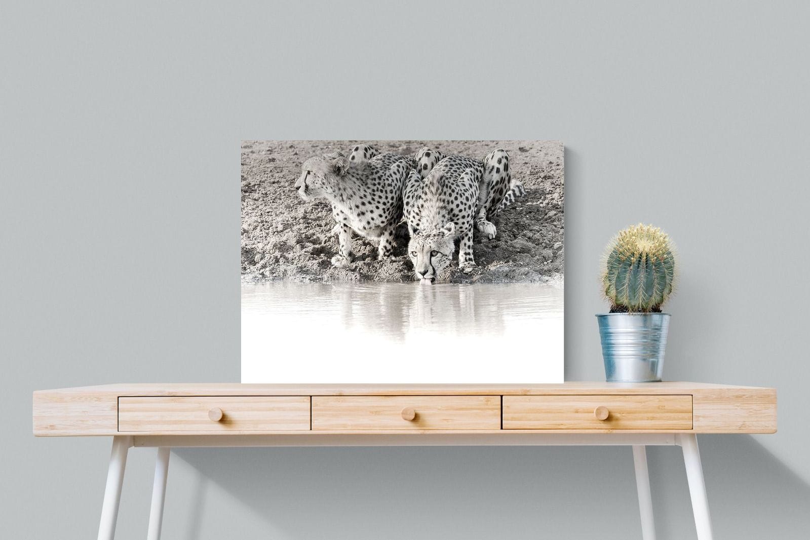 Cheetah Sisters-Wall_Art-80 x 60cm-Mounted Canvas-No Frame-Pixalot