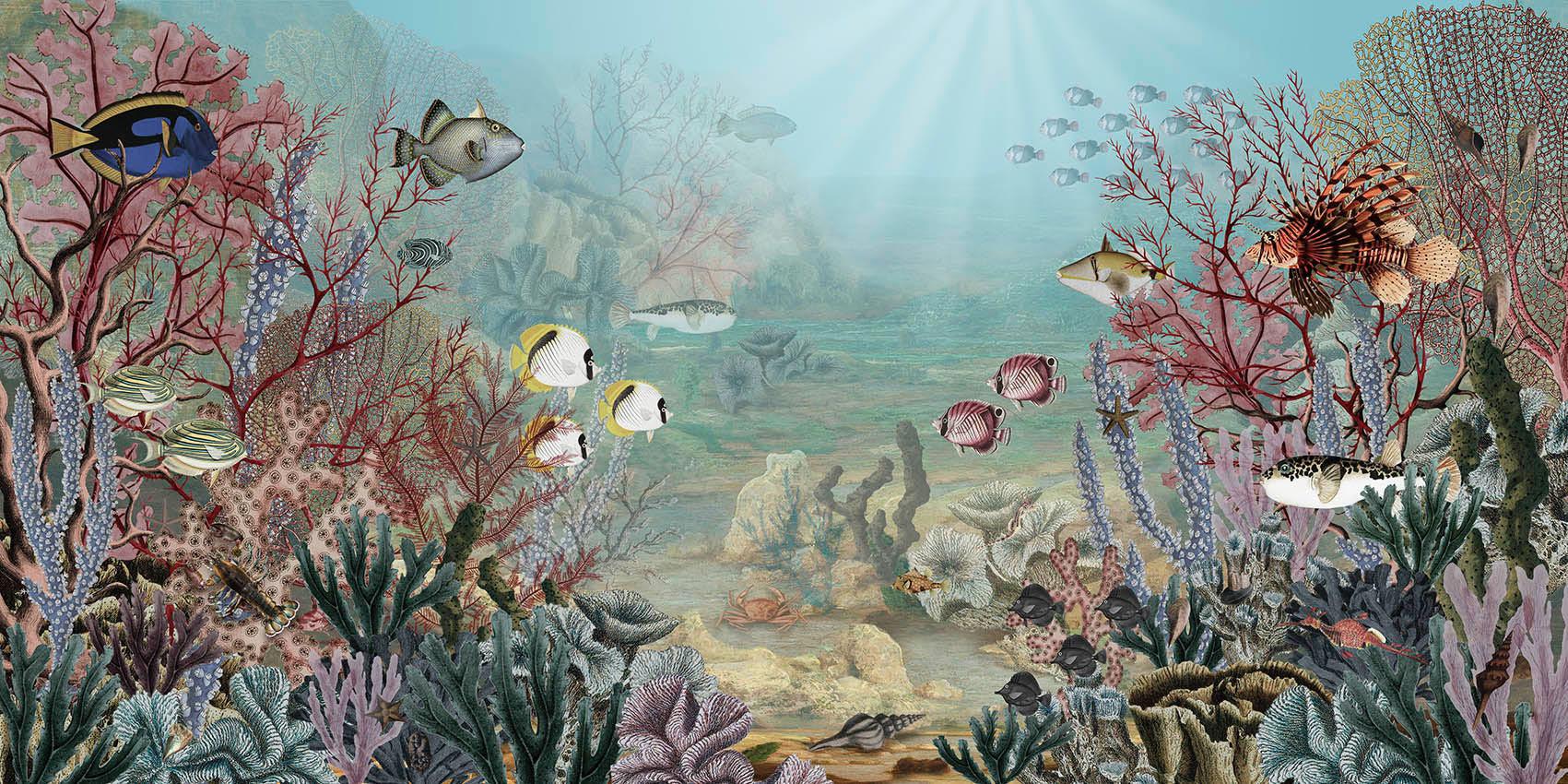 Coral Creatures-Wall_Art-Pixalot