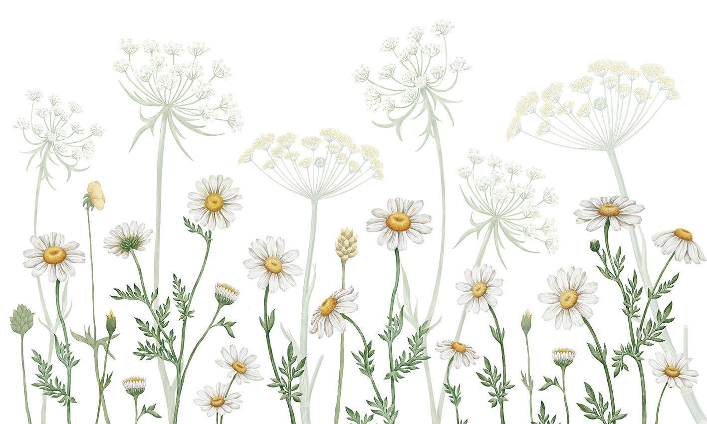 Dazzling Daisies (White)-Wall_Art-Pixalot