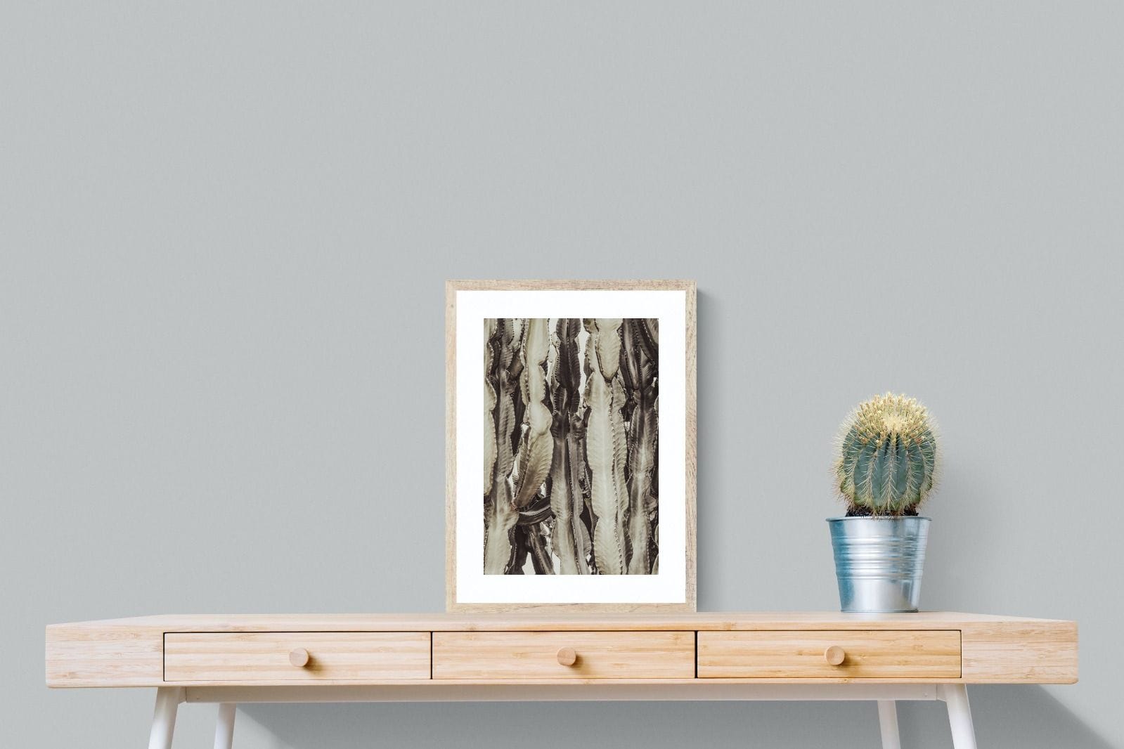 Desert Foliage-Wall_Art-45 x 60cm-Framed Print-Wood-Pixalot