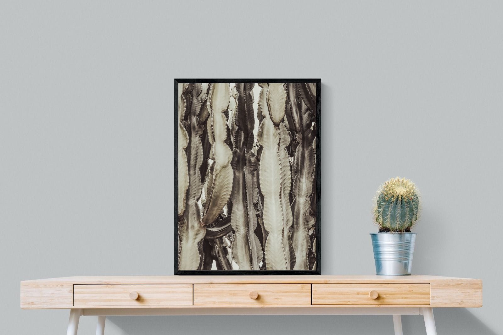 Desert Foliage-Wall_Art-60 x 80cm-Mounted Canvas-Black-Pixalot