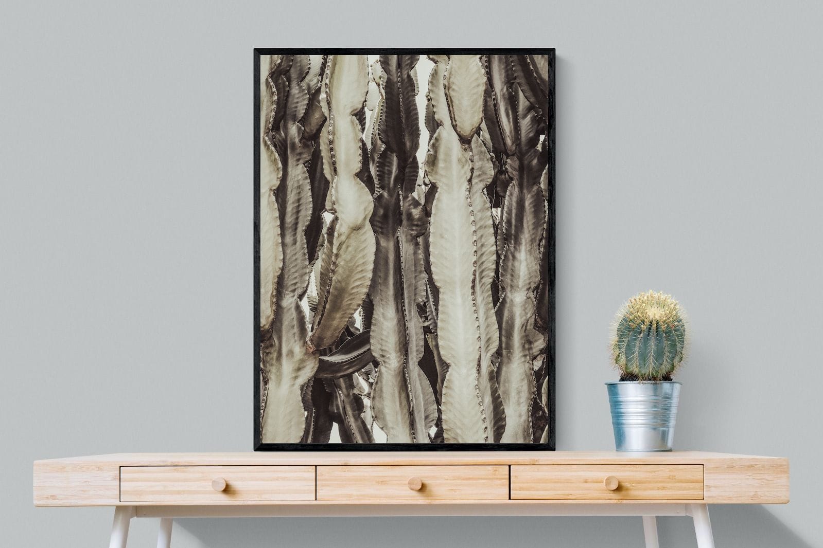 Desert Foliage-Wall_Art-75 x 100cm-Mounted Canvas-Black-Pixalot
