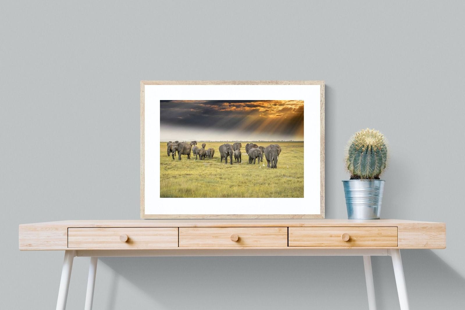 Elephant Convoy (colour)-Wall_Art-80 x 60cm-Framed Print-Wood-Pixalot