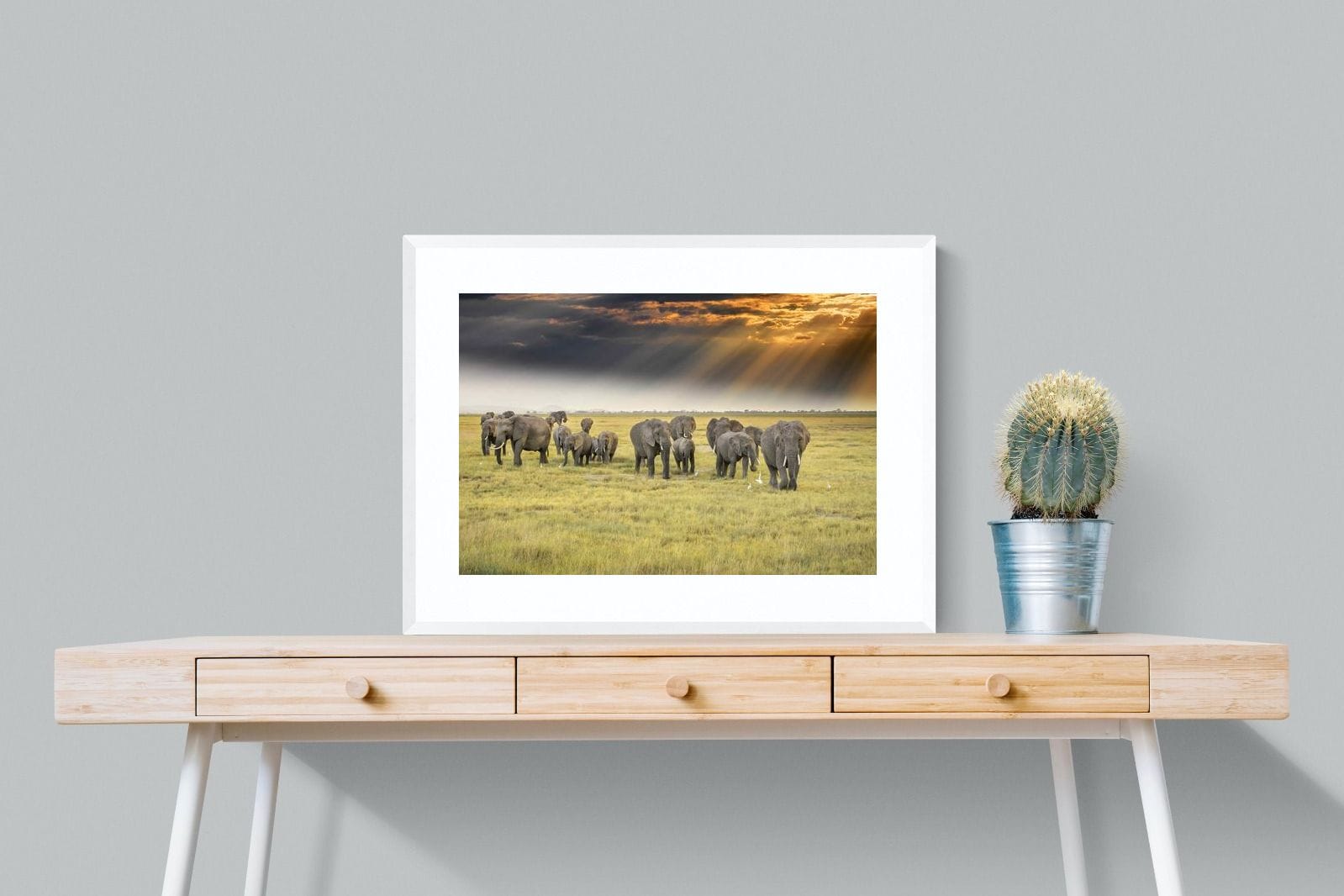 Elephant Convoy (colour)-Wall_Art-80 x 60cm-Framed Print-White-Pixalot