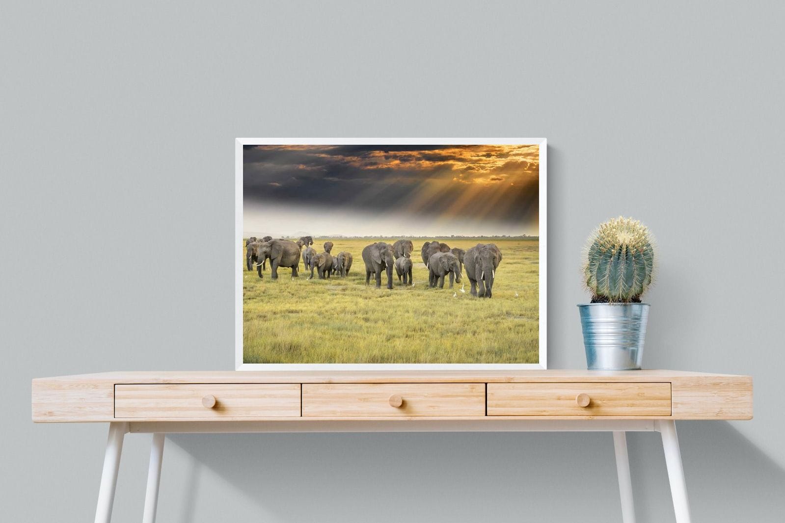 Elephant Convoy (colour)-Wall_Art-80 x 60cm-Mounted Canvas-White-Pixalot