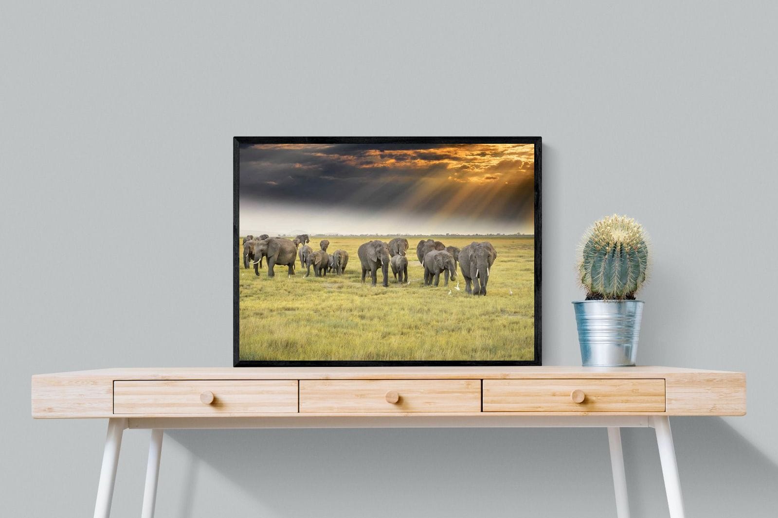 Elephant Convoy (colour)-Wall_Art-80 x 60cm-Mounted Canvas-Black-Pixalot