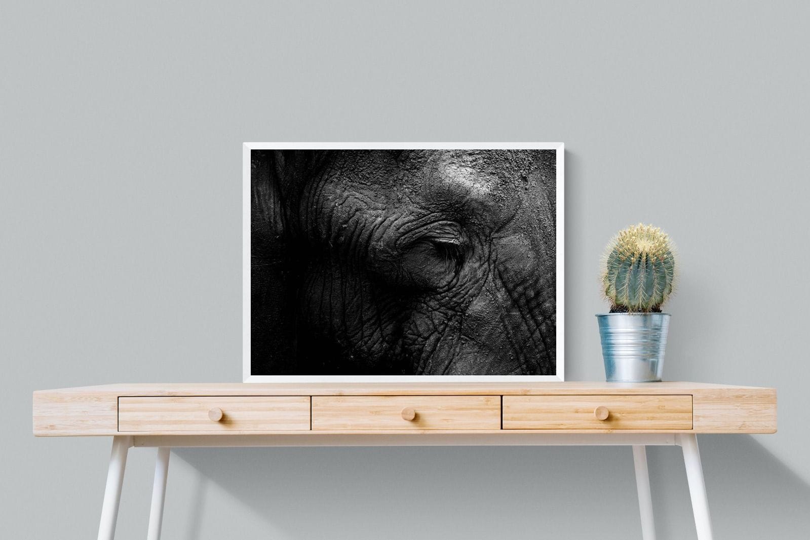 Elephant Skin-Wall_Art-80 x 60cm-Mounted Canvas-White-Pixalot