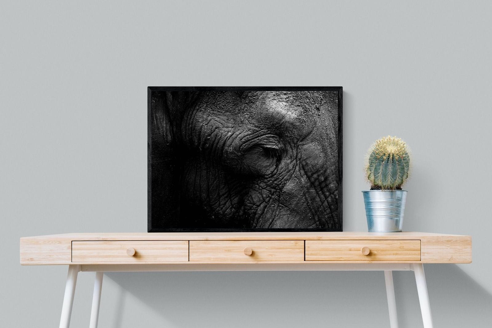 Elephant Skin-Wall_Art-80 x 60cm-Mounted Canvas-Black-Pixalot