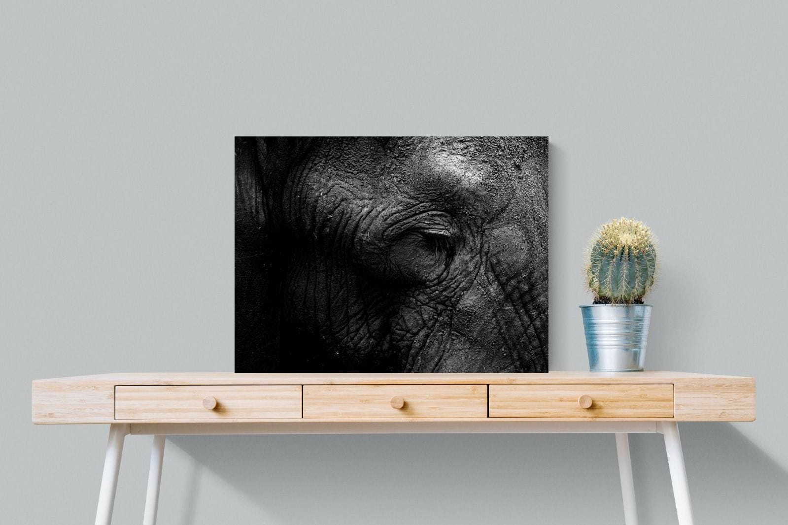 Elephant Skin-Wall_Art-80 x 60cm-Mounted Canvas-No Frame-Pixalot