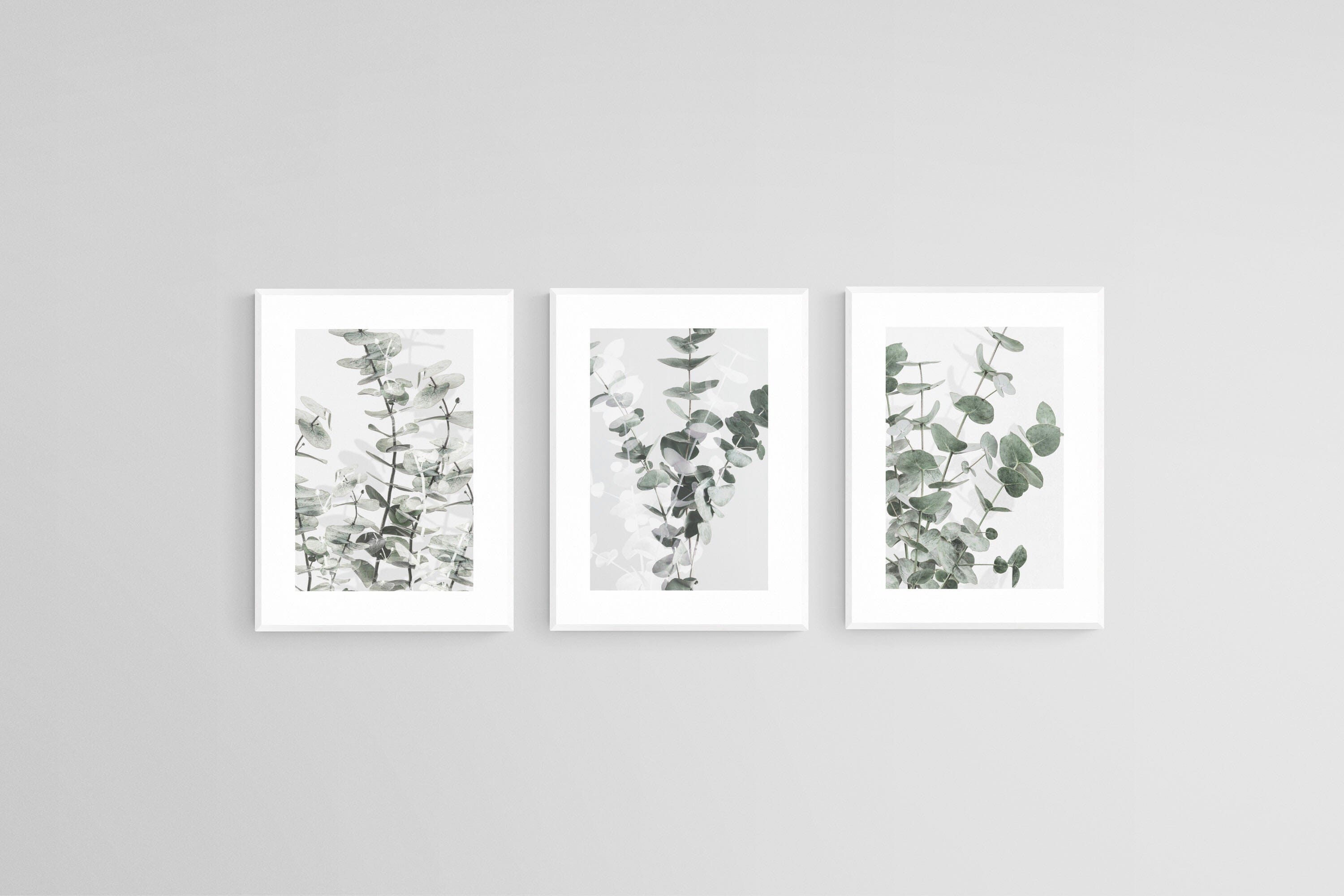 Eucalyptus Set-Wall_Art-45 x 60cm (x3)-Framed Print-White-Pixalot