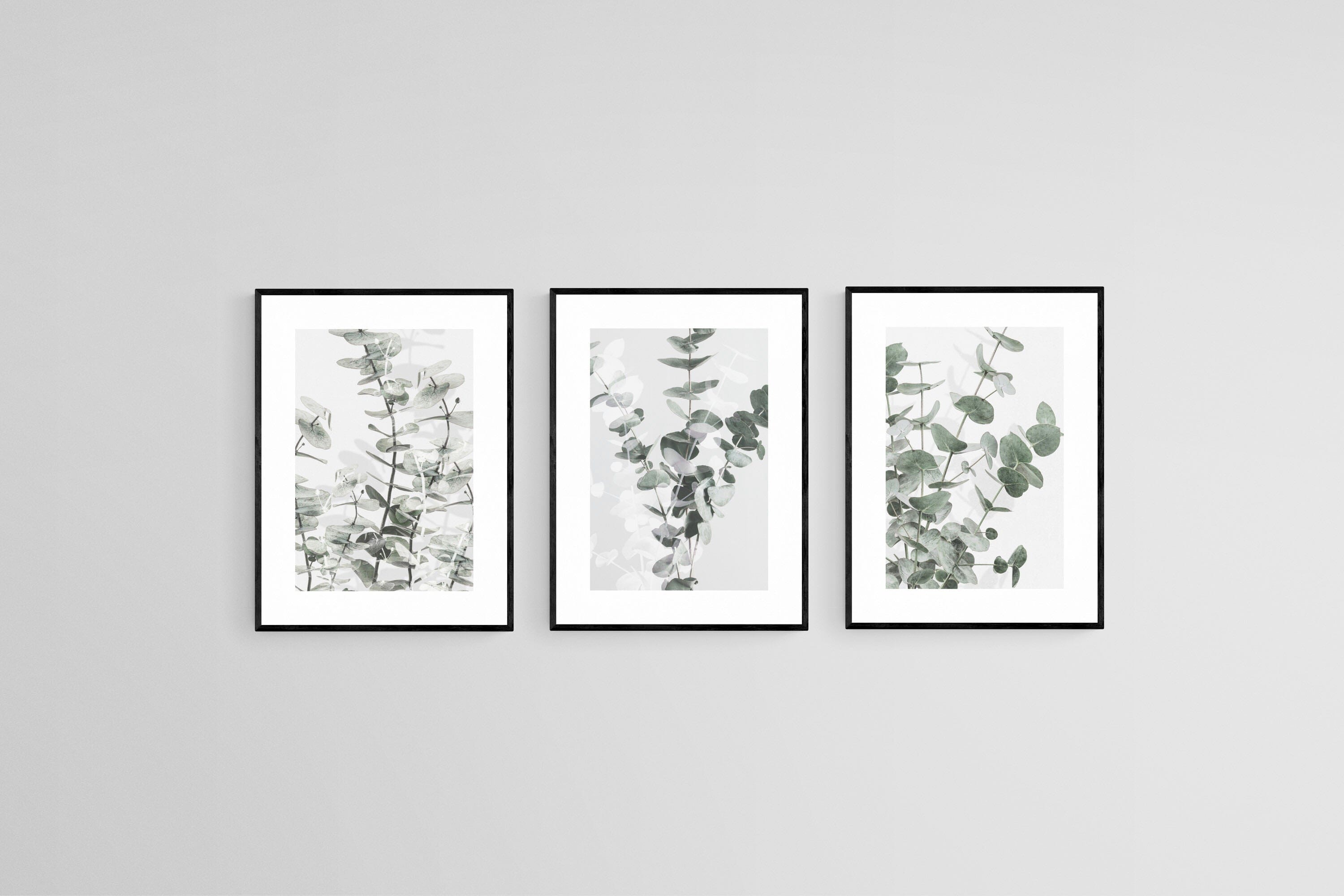 Eucalyptus Set-Wall_Art-45 x 60cm (x3)-Framed Print-Black-Pixalot