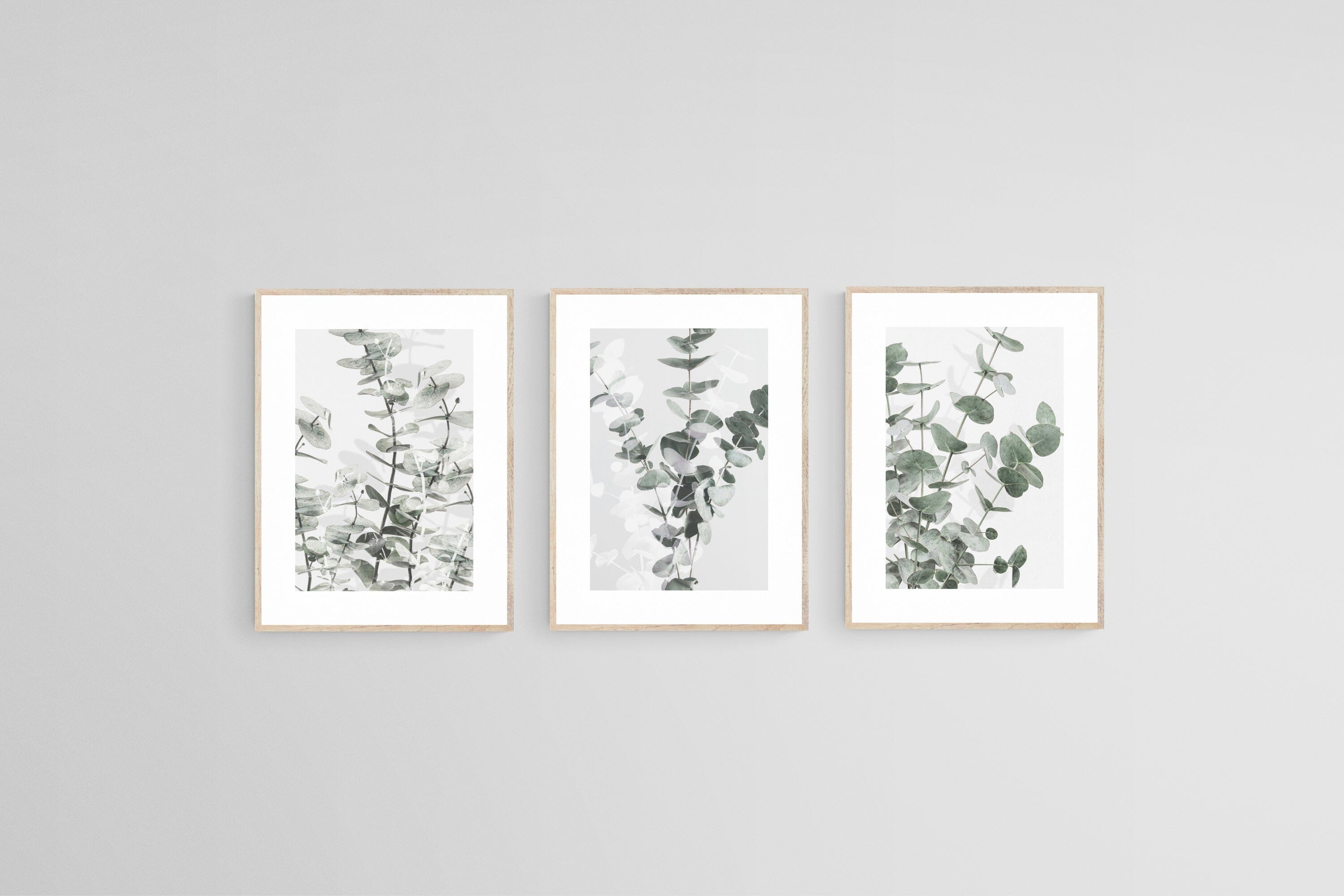 Eucalyptus Set-Wall_Art-45 x 60cm (x3)-Framed Print-Wood-Pixalot