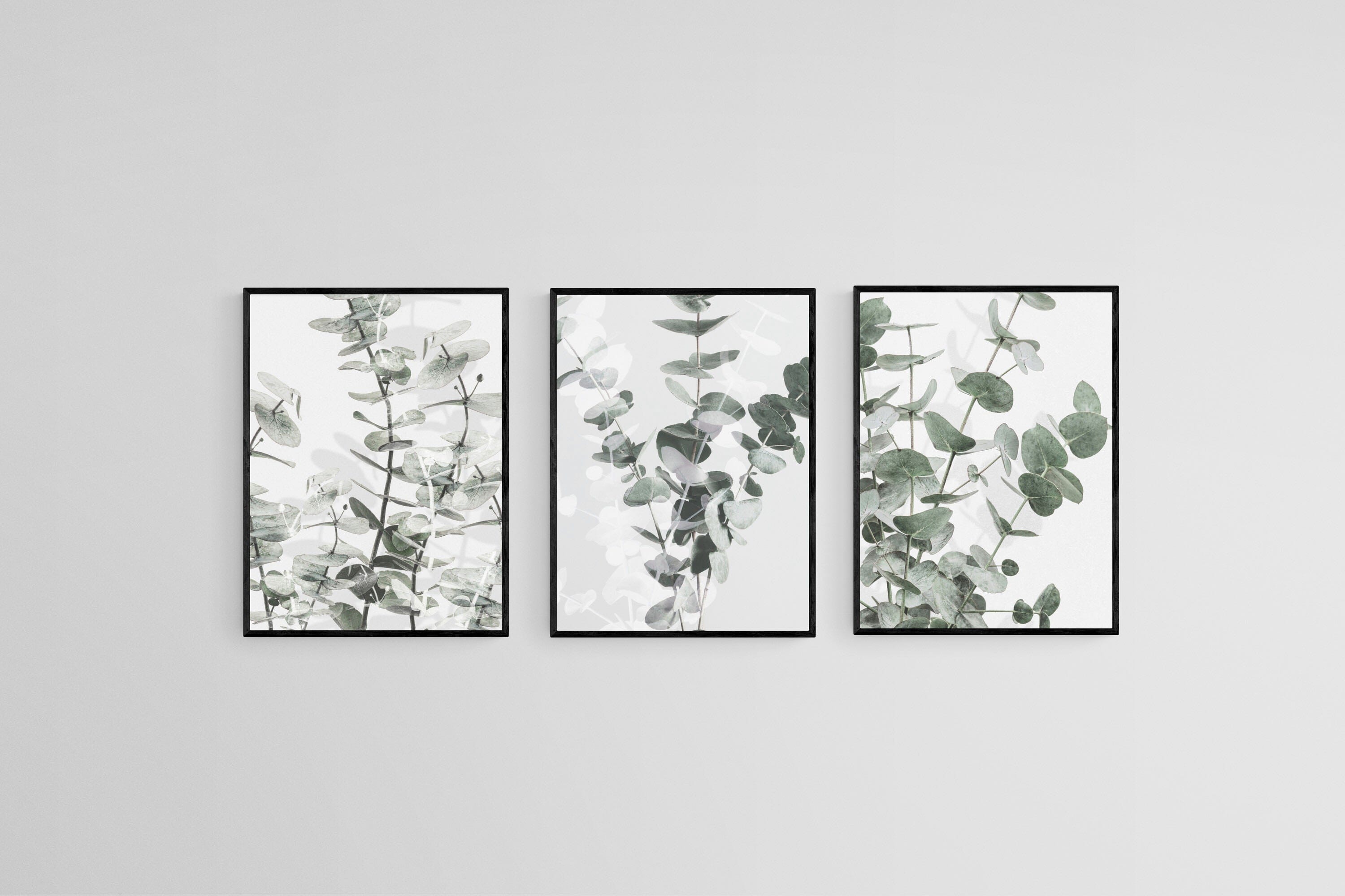 Eucalyptus Set-Wall_Art-45 x 60cm (x3)-Mounted Canvas-Black-Pixalot